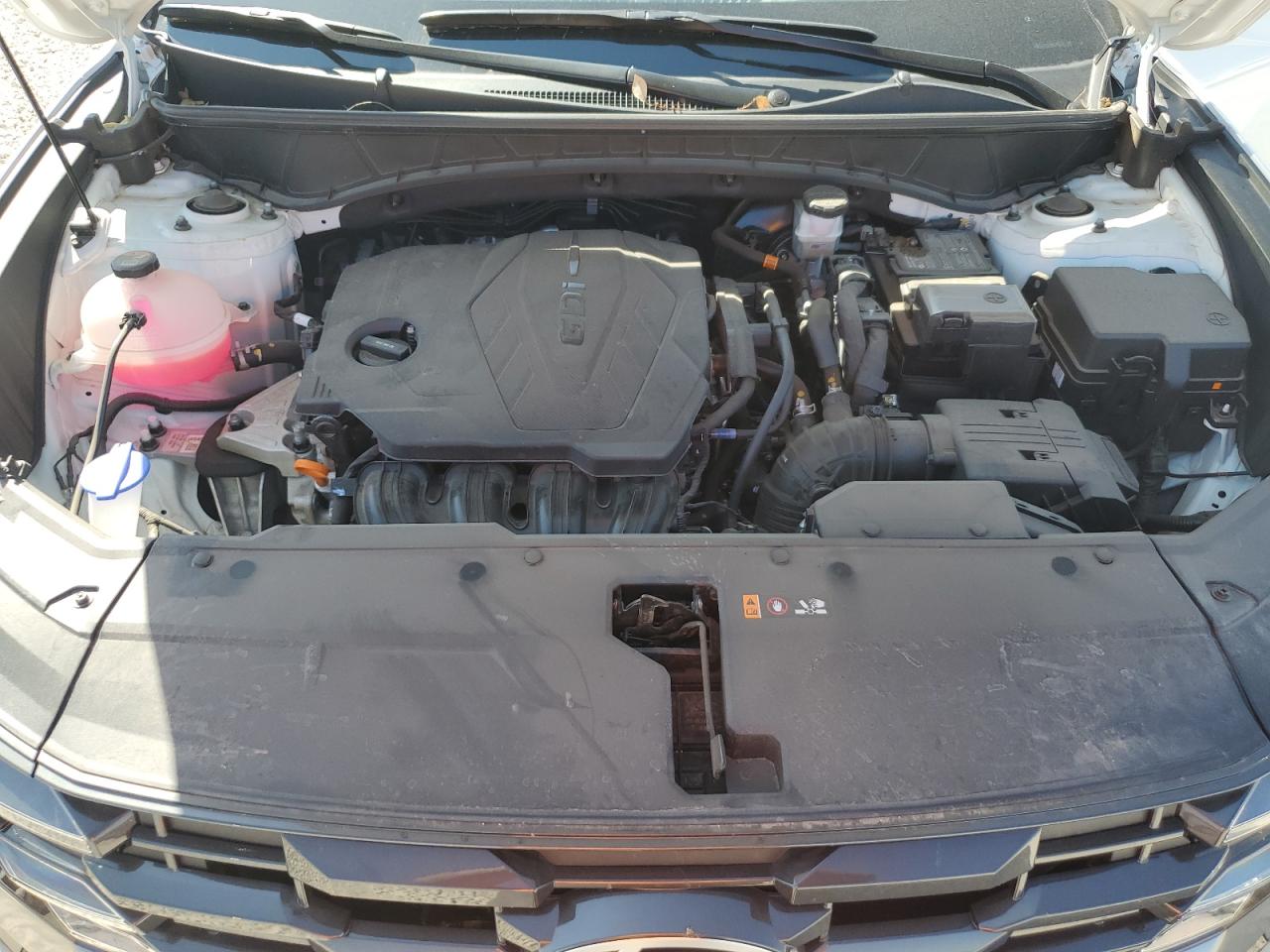 2025 Hyundai Tucson Sel VIN: 5NMJB3DE4SH445804 Lot: 81102155