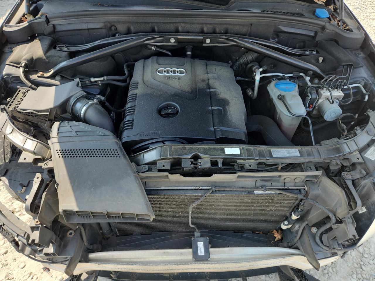 2013 Audi Q5 Premium VIN: WA1CFAFP0DA070565 Lot: 80808605