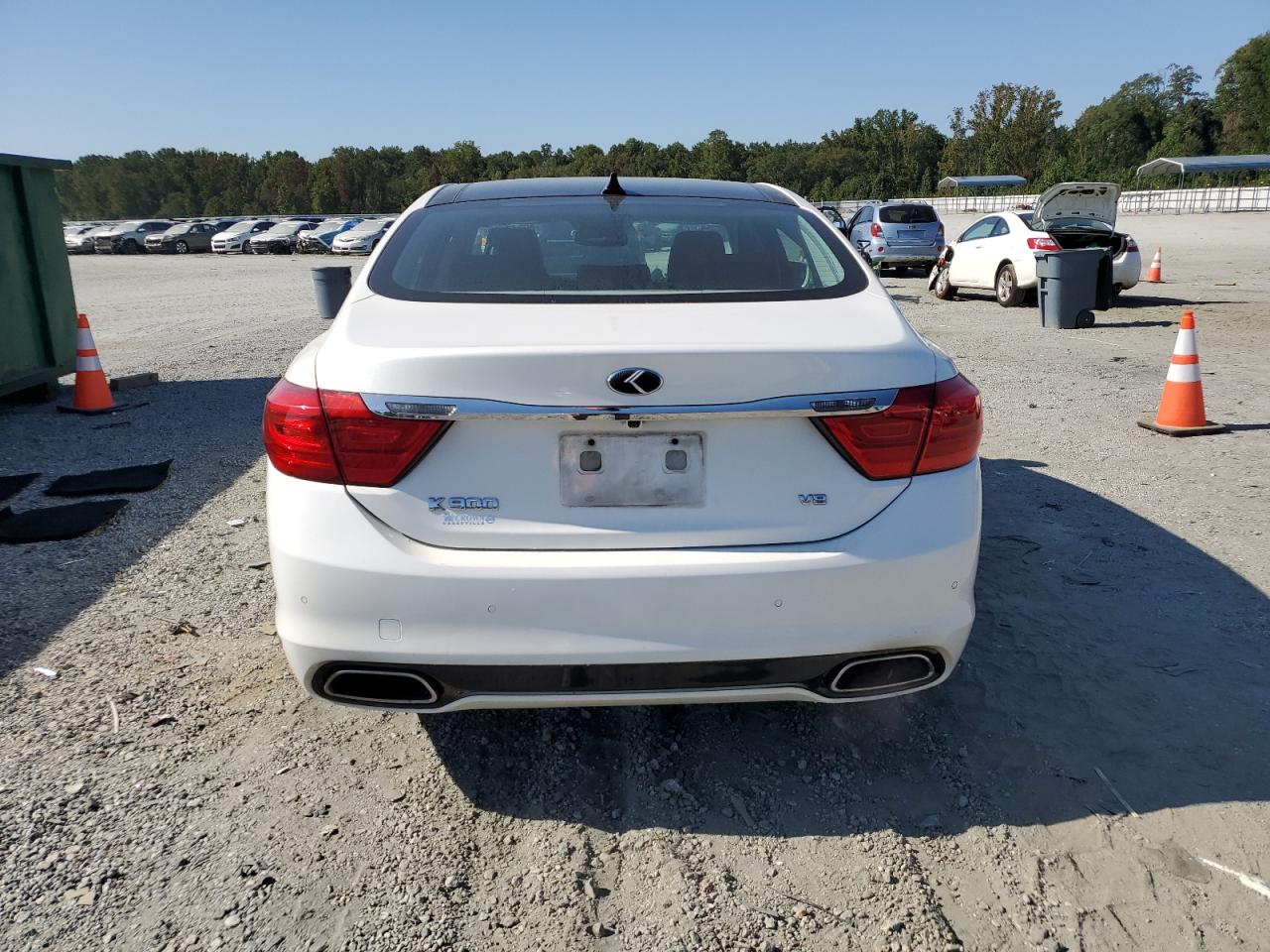 2015 Kia K900 VIN: KNALU4D47F6026829 Lot: 80347105