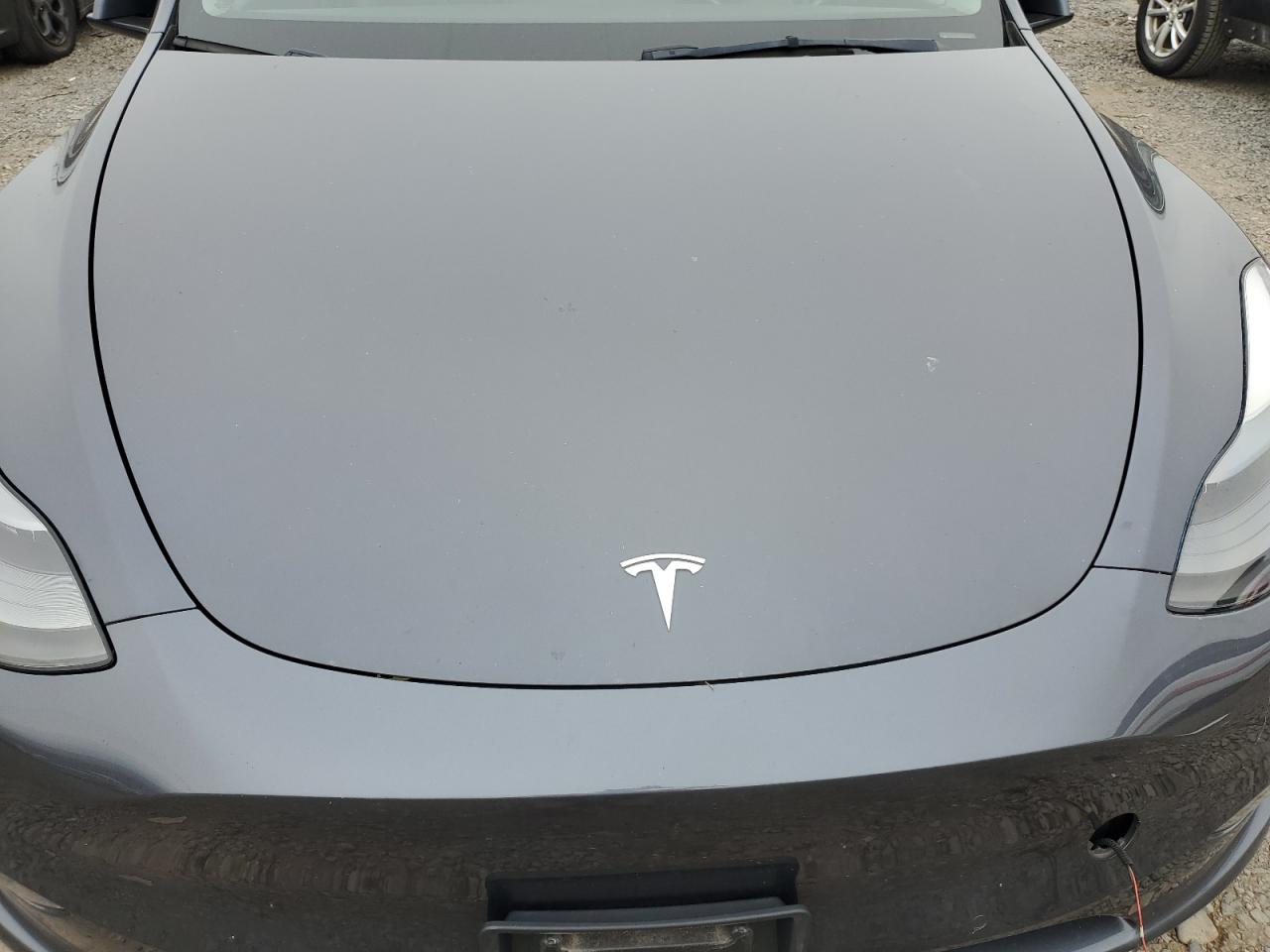 2022 Tesla Model Y VIN: 7SAYGDEF8NF307866 Lot: 81727185