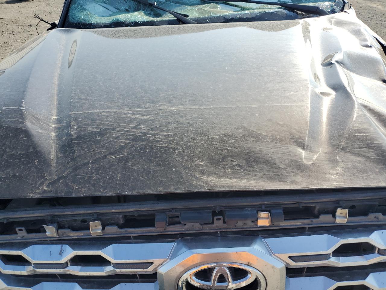 2023 Toyota Tundra Crewmax Platinum VIN: 5TFMA5DB7PX096413 Lot: 71929595
