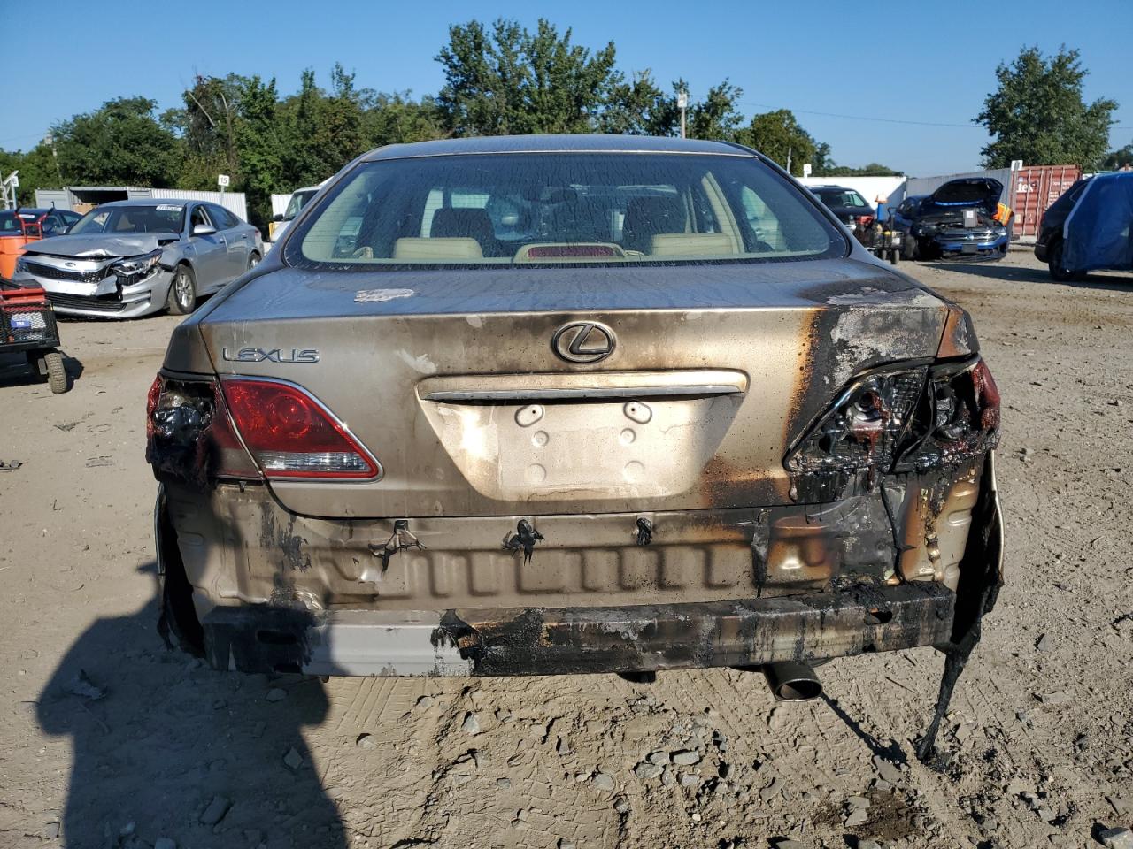 2005 Lexus Es 330 VIN: JTHBA30G955064230 Lot: 71107365