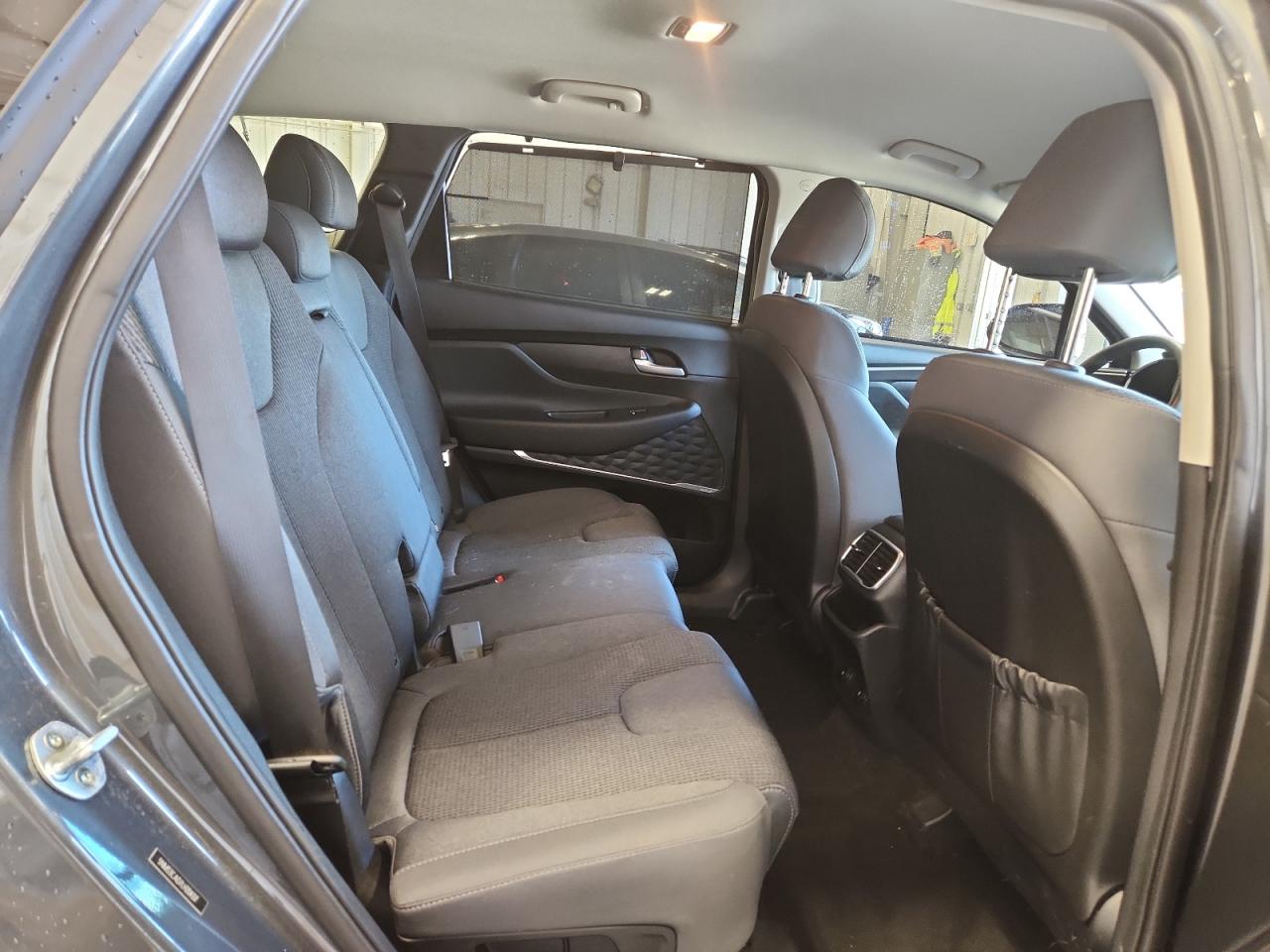 2020 Hyundai Santa Fe Sel VIN: 5NMS3CAD7LH204317 Lot: 81806755