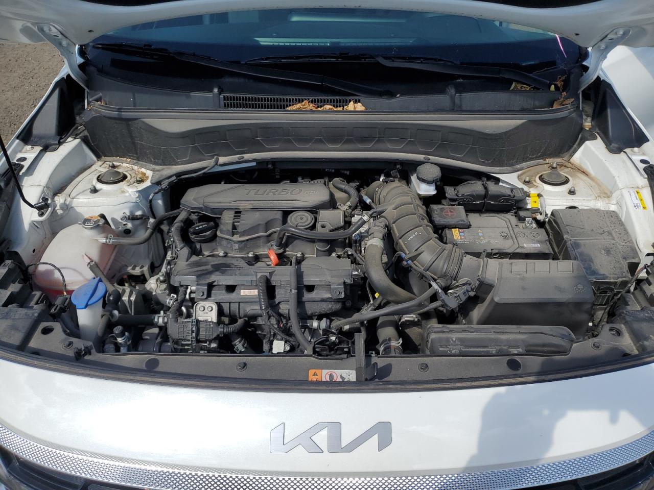 2024 Kia Seltos Sx VIN: KNDETCA74R7612152 Lot: 71874145