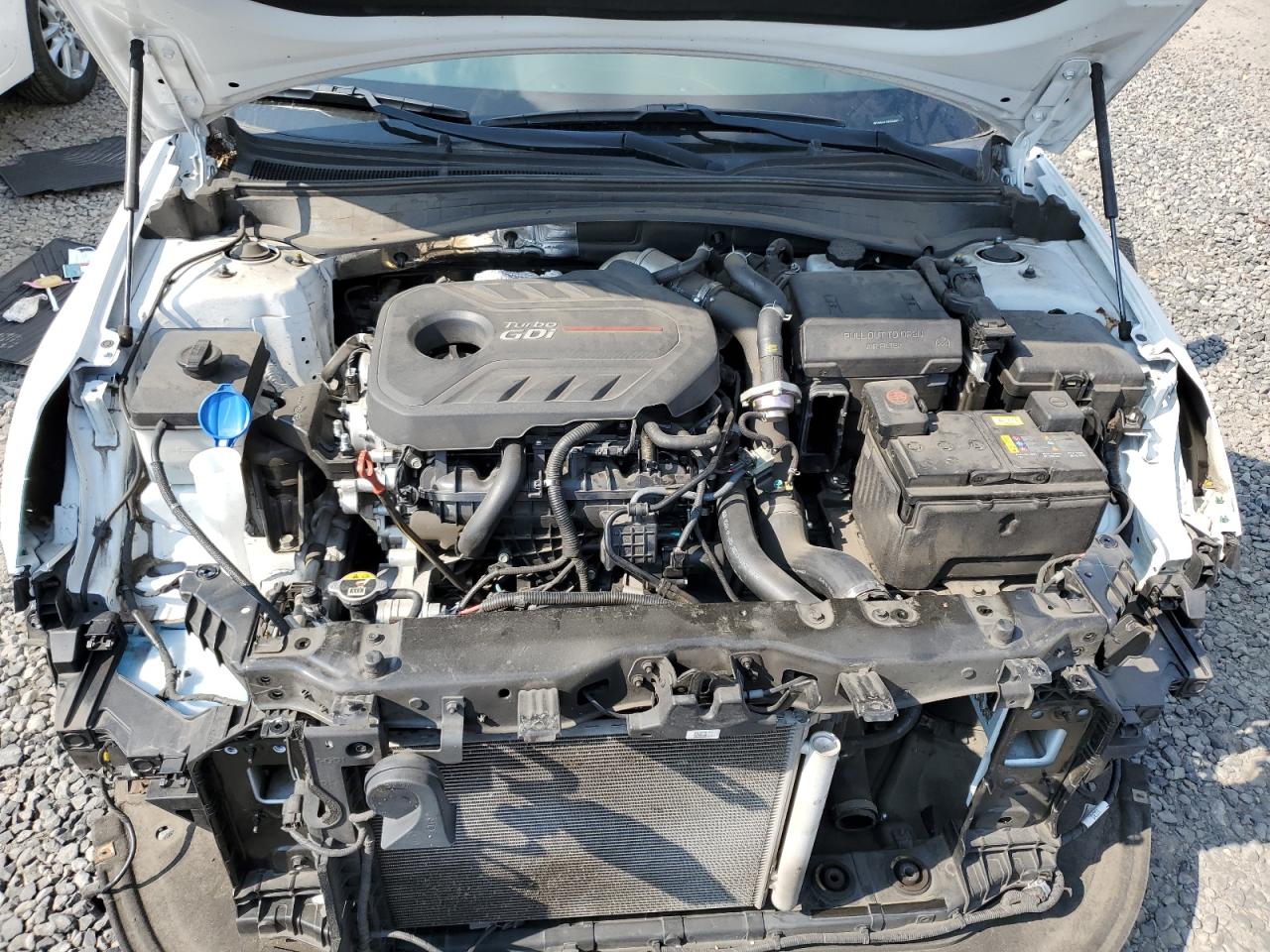 2019 Kia Optima Sxl VIN: 5XXGV4L22KG304467 Lot: 81340735