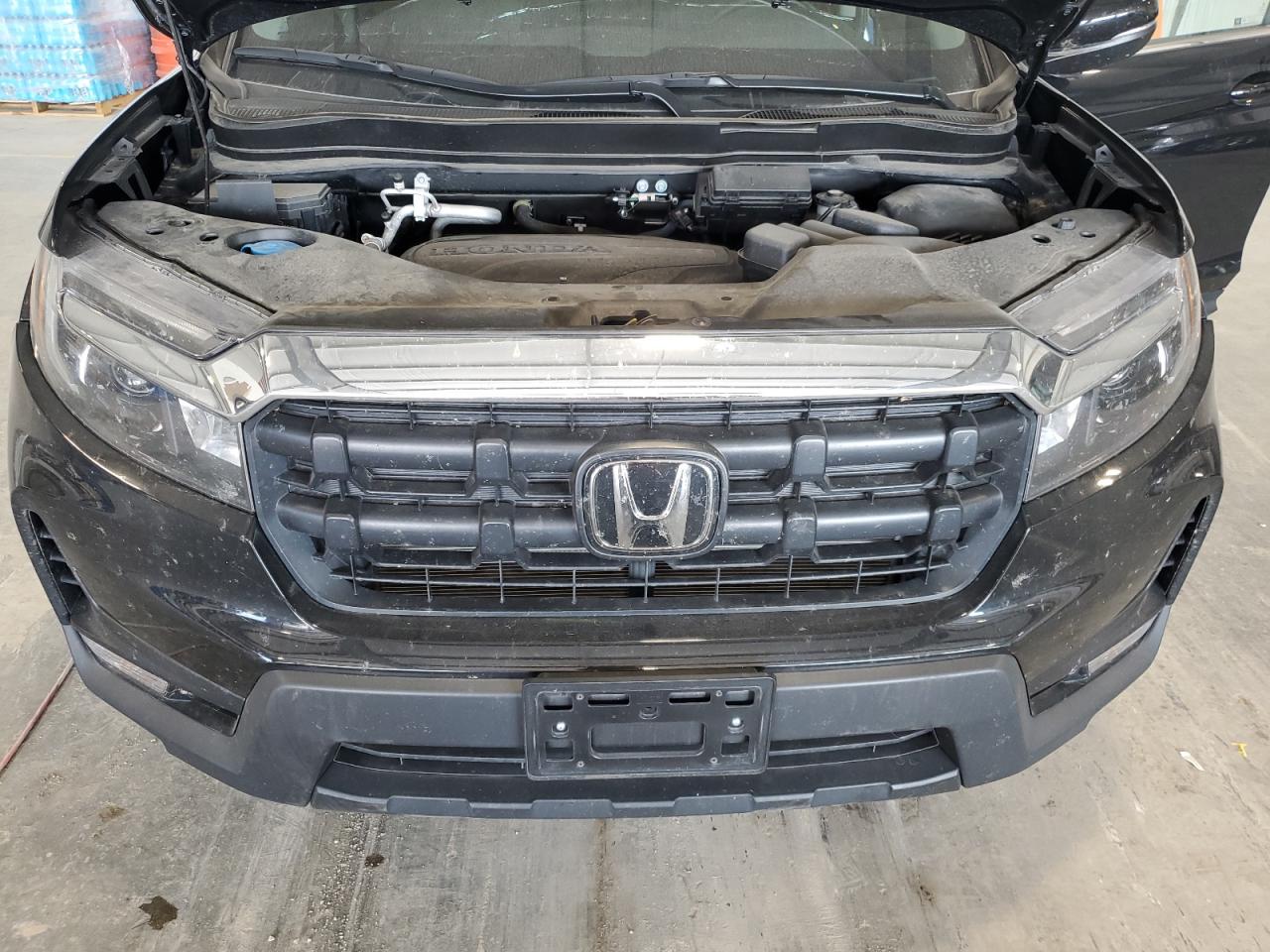 2024 Honda Ridgeline Rtl VIN: 5FPYK3F59RB025860 Lot: 81642775