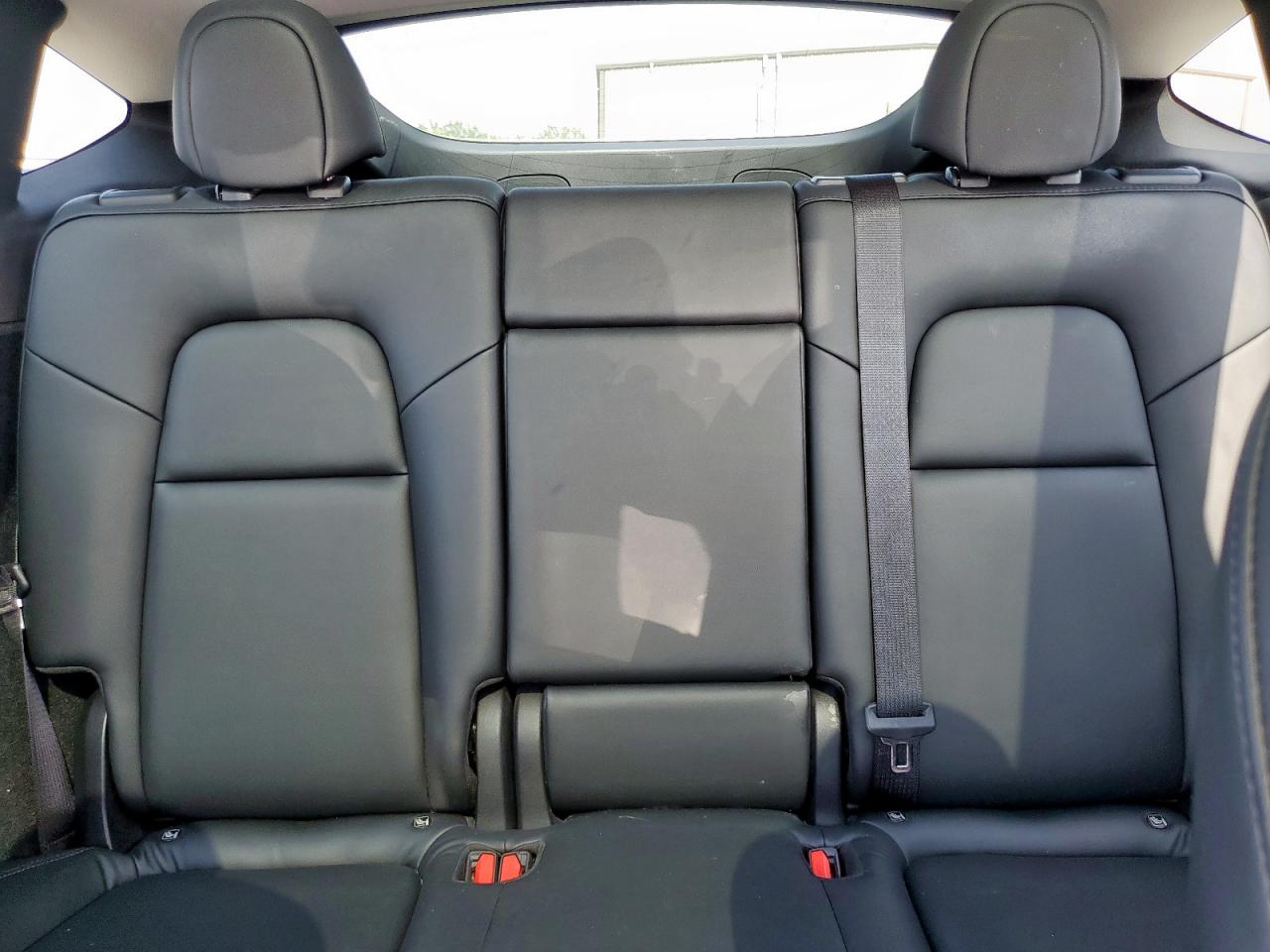 2023 Tesla Model Y VIN: 7SAYGDEE9PA088942 Lot: 81265905