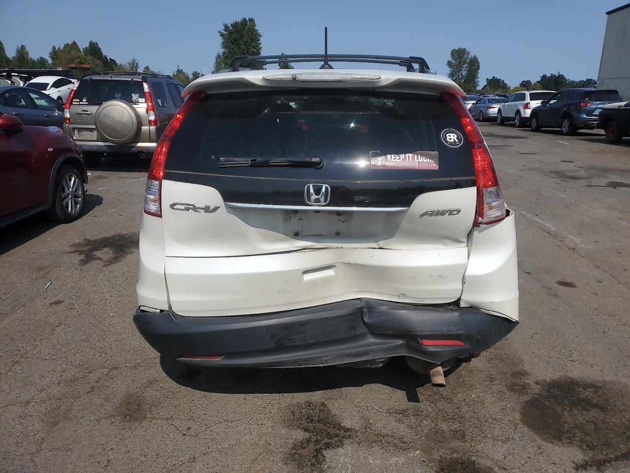 2014 Honda Cr-V Exl VIN: 5J6RM4H77EL055646 Lot: 80094975