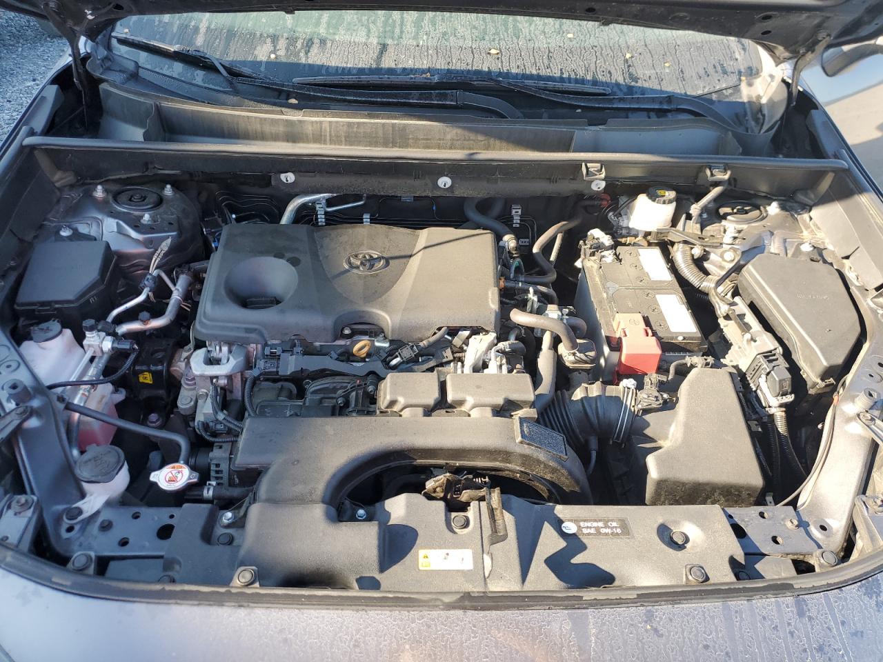 2021 Toyota Rav4 Xle VIN: 2T3W1RFV3MW155917 Lot: 71654755