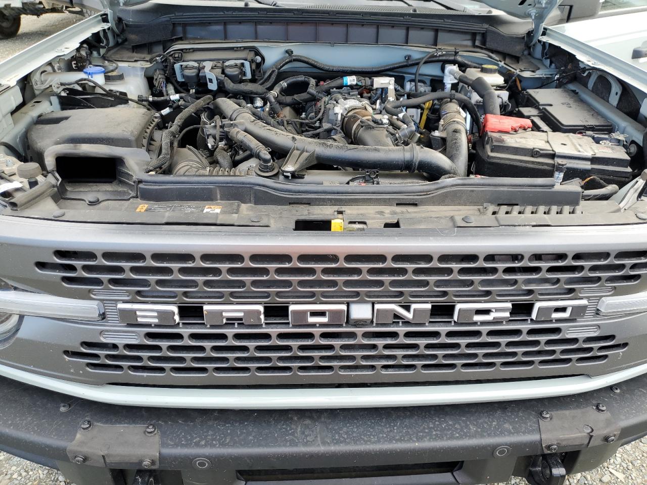 2024 Ford Bronco Badlands VIN: 1FMEE9BP8RLA76062 Lot: 81607305