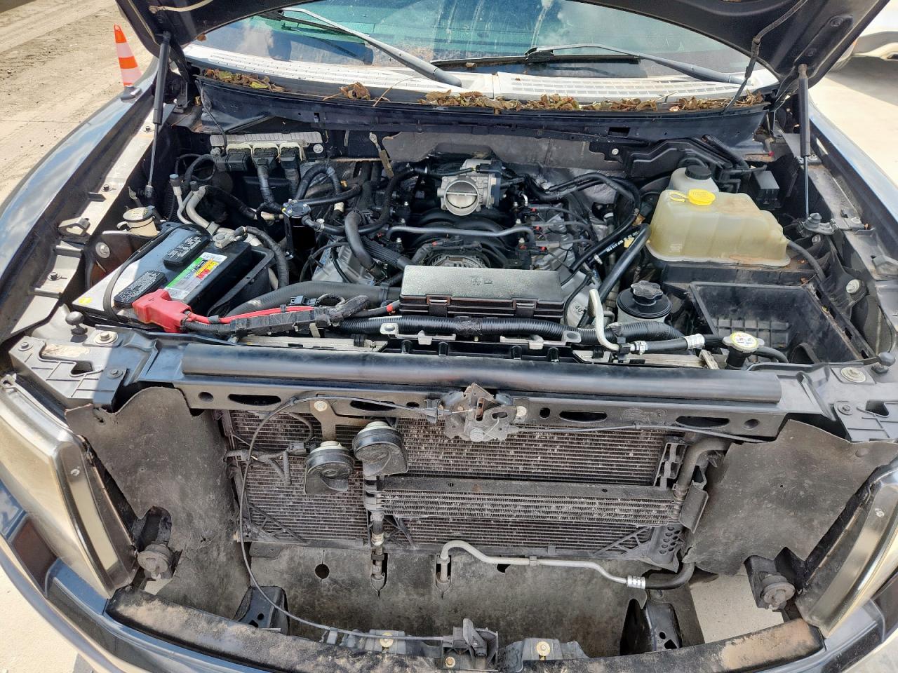 2012 Ford F150 Svt Raptor VIN: 1FTFW1R64CFA12398 Lot: 81751375