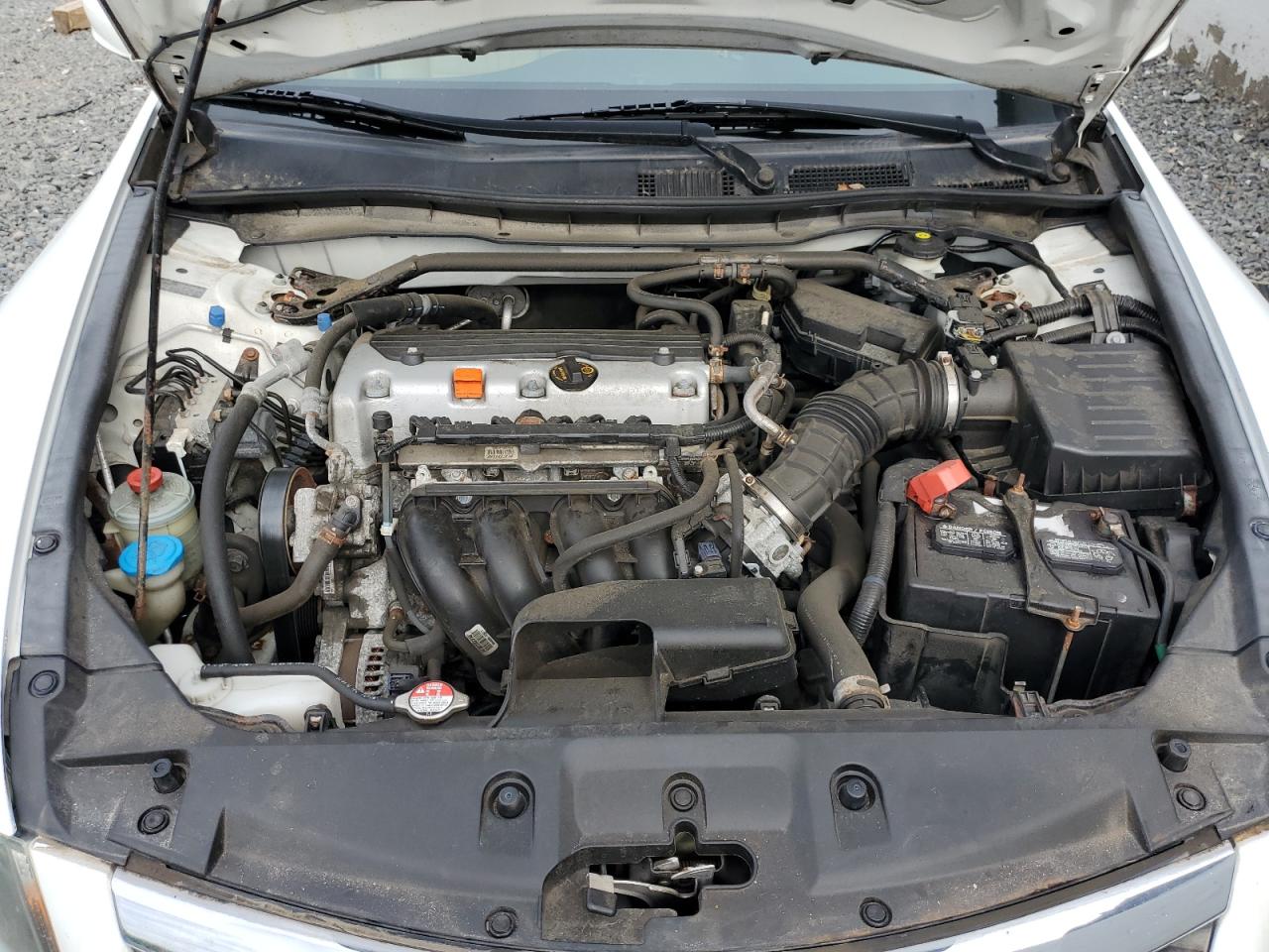 2011 Honda Accord Exl VIN: 1HGCP2F84BA020008 Lot: 81195175