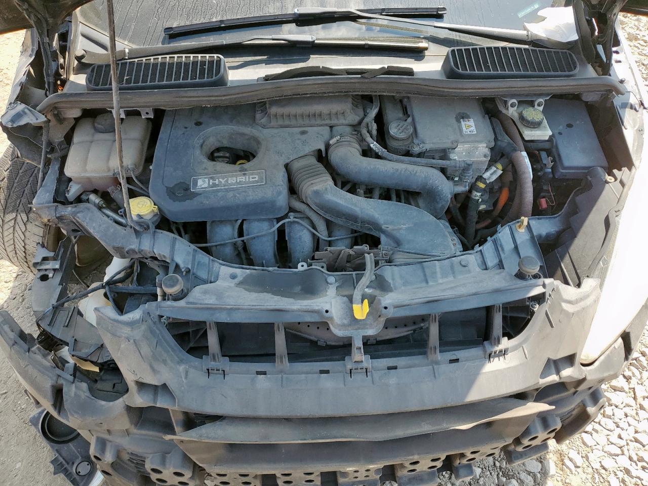 2014 Ford C-Max Se VIN: 1FADP5AU7EL509719 Lot: 81016605