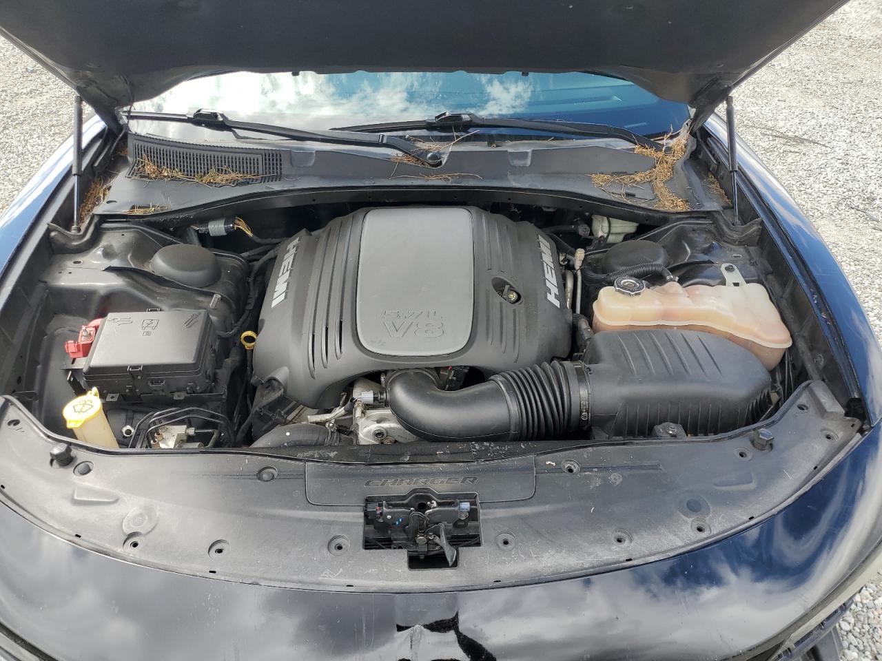 2015 Dodge Charger R/T VIN: 2C3CDXCT5FH810281 Lot: 81528145