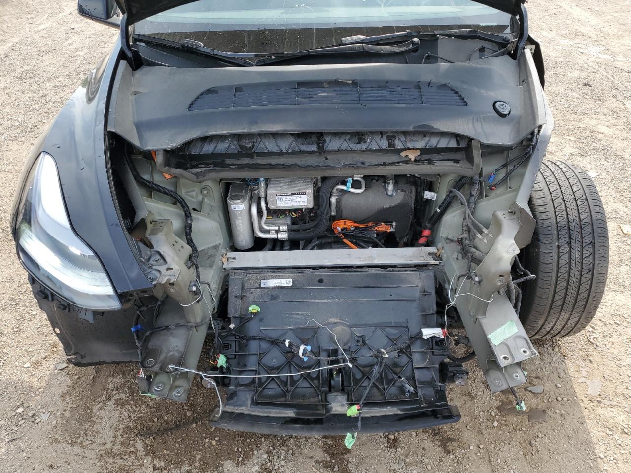 2023 Tesla Model Y VIN: 7SAYGDEE4PA167337 Lot: 71100565