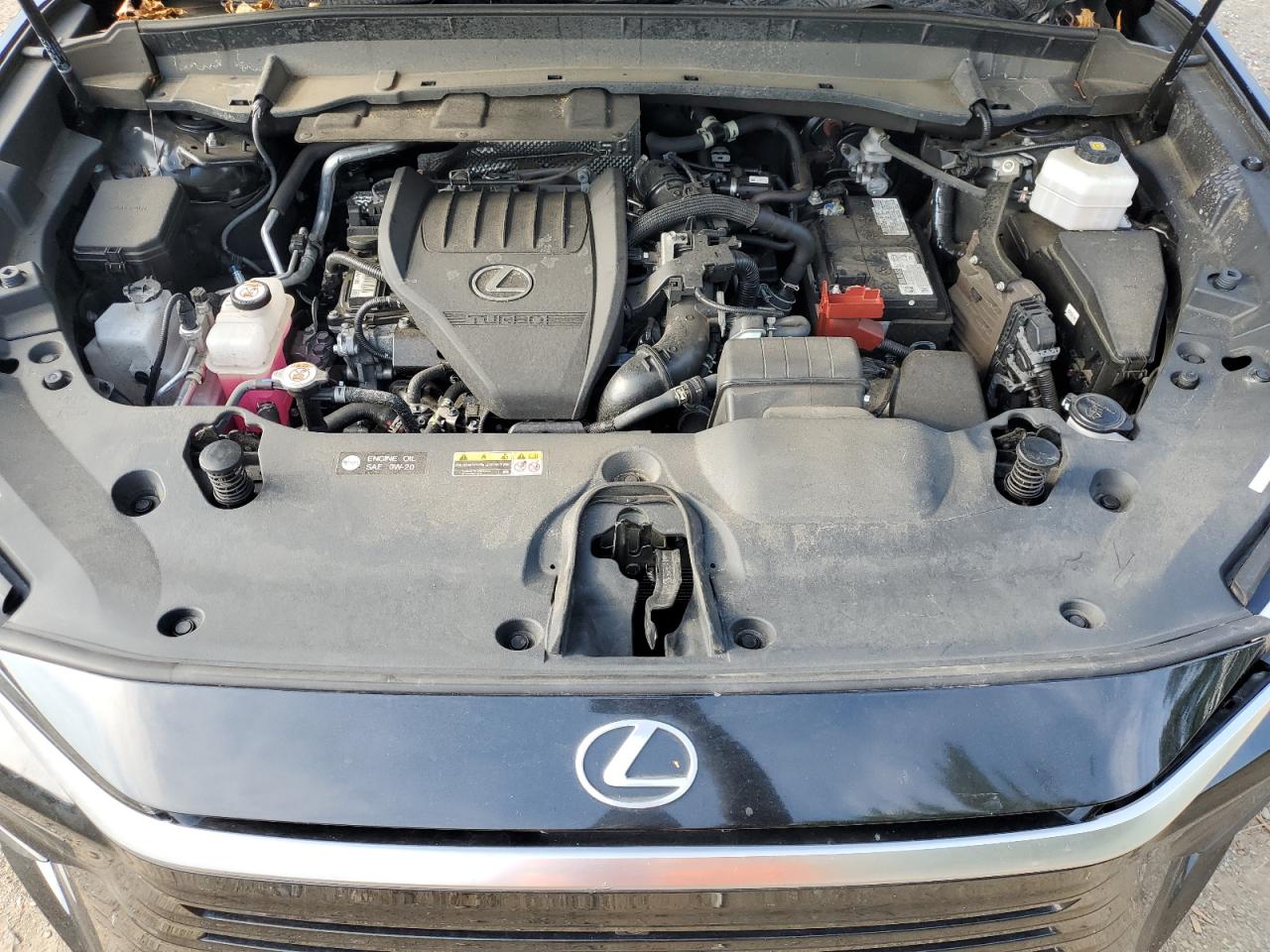 2024 Lexus Tx 350 Base VIN: 5TDAAAB66RS003410 Lot: 81526825