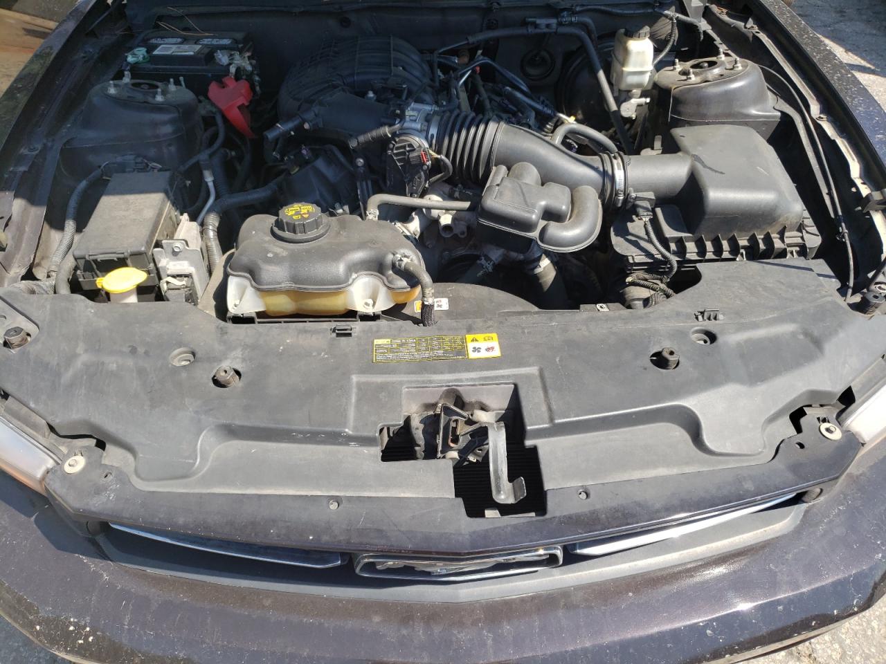 2012 Ford Mustang VIN: 1ZVBP8AMXC5226376 Lot: 71772745