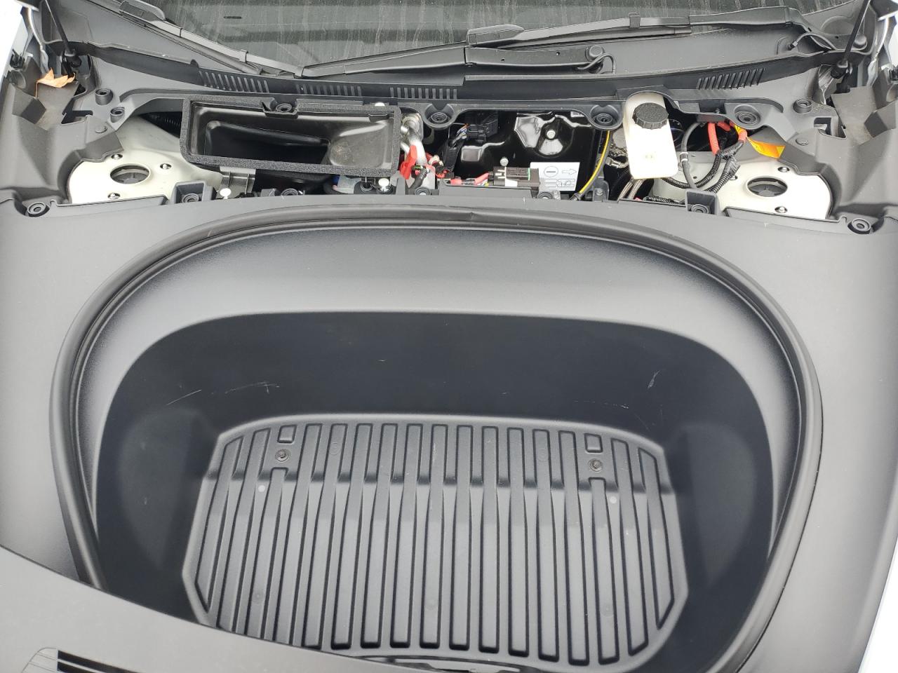 2025 Tesla Model 3 VIN: 5YJ3E1EAXSF021612 Lot: 80557135