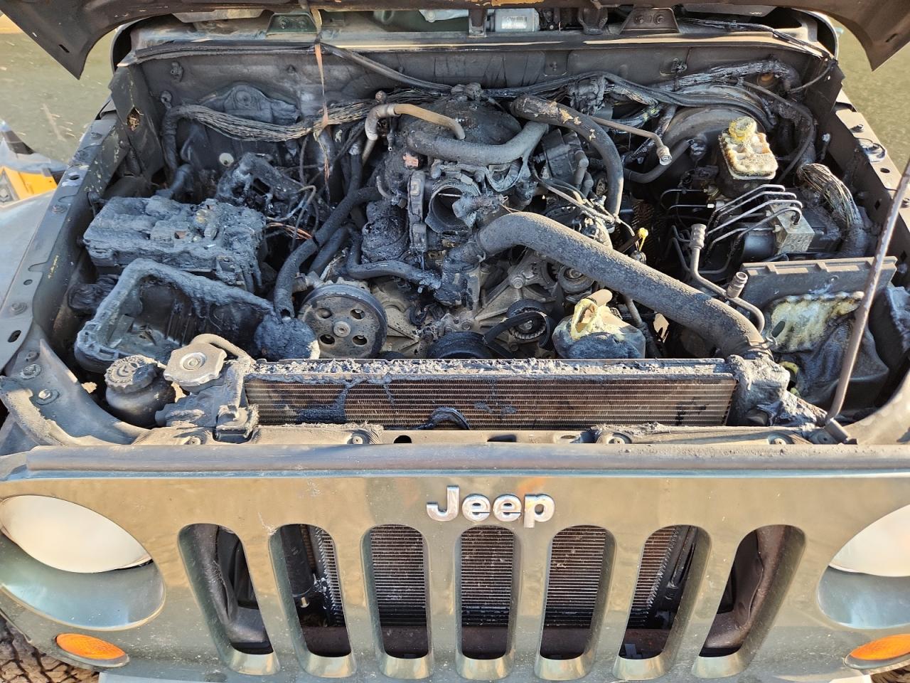 2007 Jeep Wrangler Sahara VIN: 1J4FA54167L186282 Lot: 81098995