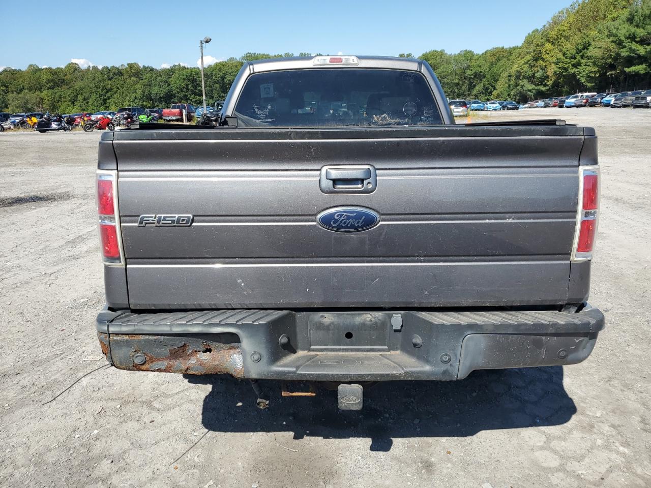 2009 Ford F150 Supercrew VIN: 1FTPW14V49KB97586 Lot: 81350635