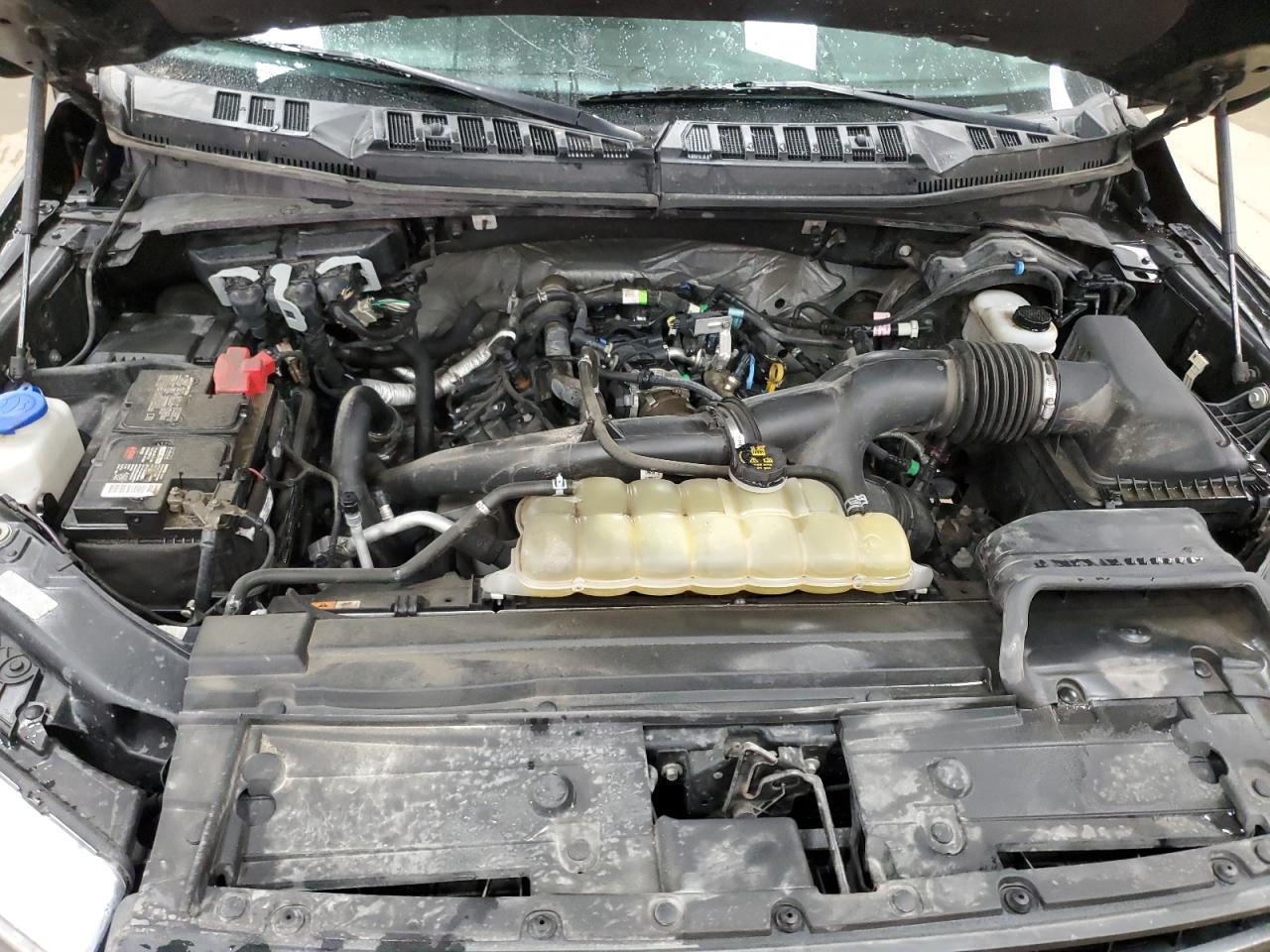 2019 Ford F150 Supercrew VIN: 1FTEW1EP5KFB35233 Lot: 83955225