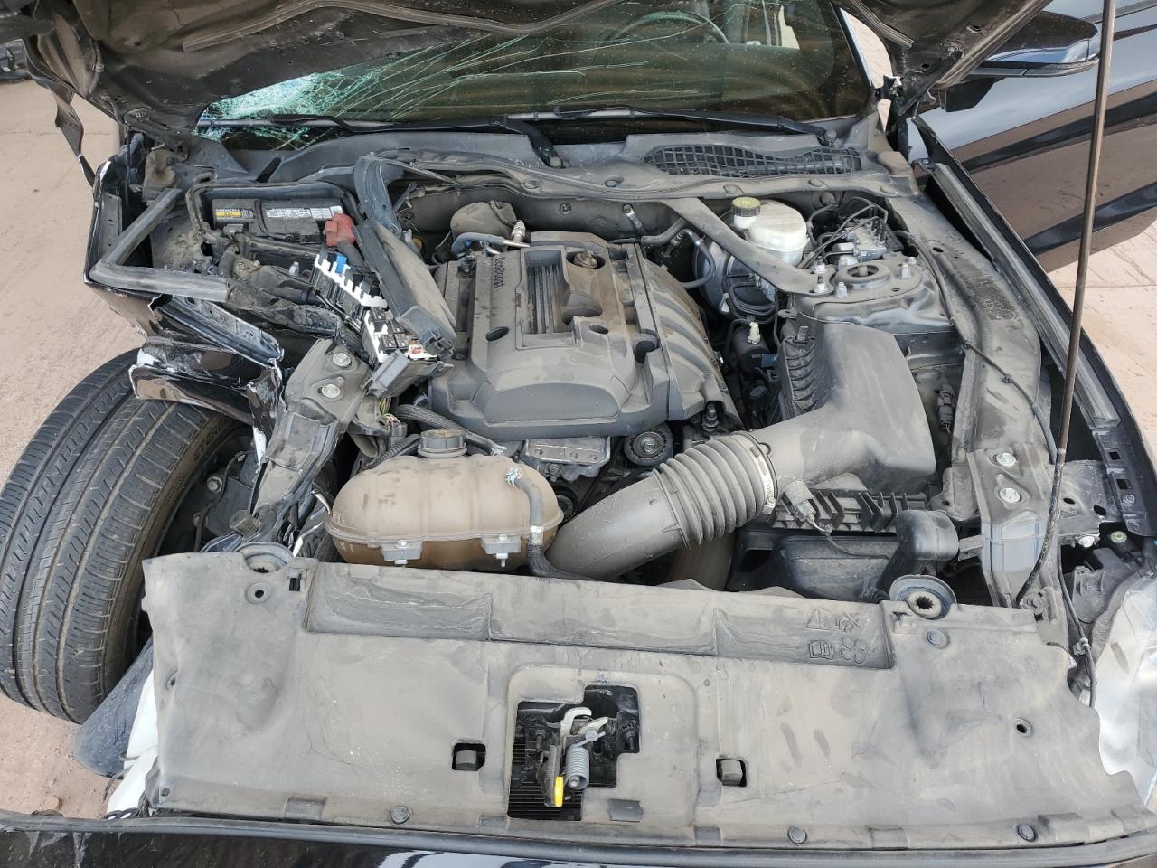 2019 Ford Mustang VIN: 1FATP8UHXK5169994 Lot: 83757385