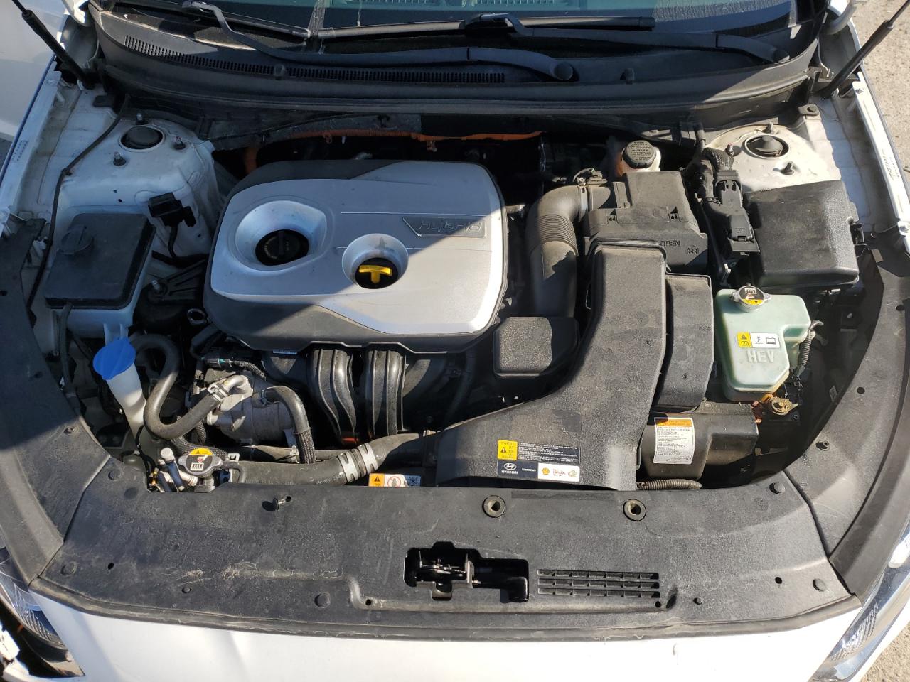 2019 Hyundai Sonata Hybrid VIN: KMHE34L37KA087642 Lot: 80378045