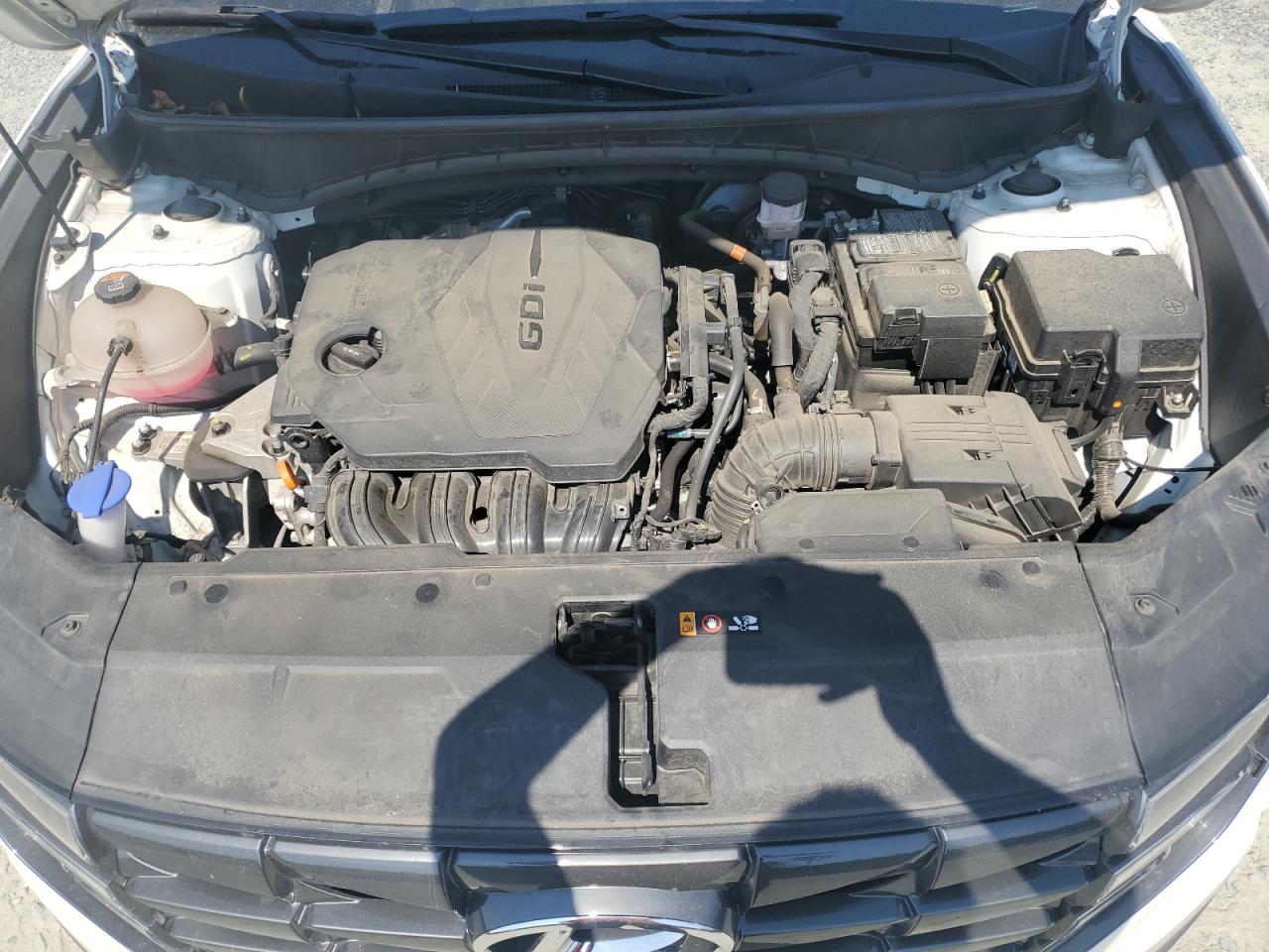 2023 Hyundai Tucson Sel VIN: 5NMJF3AE7PH187083 Lot: 81181895