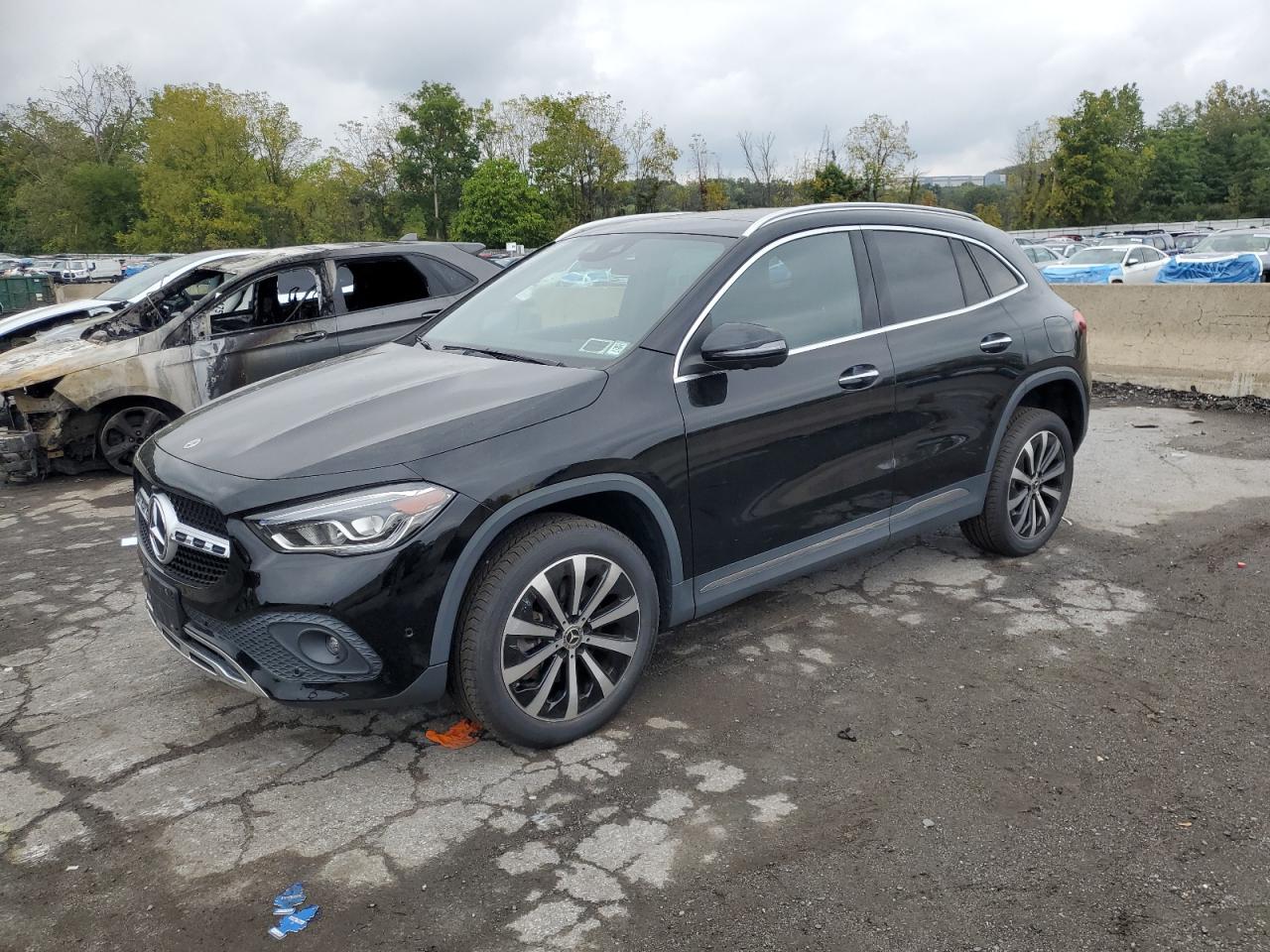 2023 Mercedes-Benz Gla 250 4Matic VIN: W1N4N4HBXPJ525533 Lot: 82087405