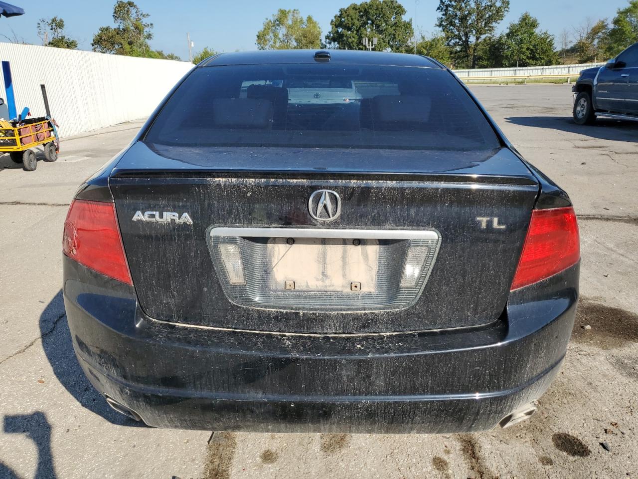2004 Acura Tl VIN: 19UUA66234A019265 Lot: 81149345