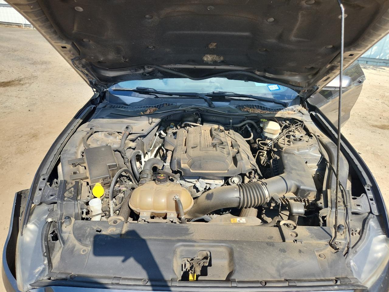 2015 Ford Mustang VIN: 1FA6P8TH2F5403825 Lot: 81870655