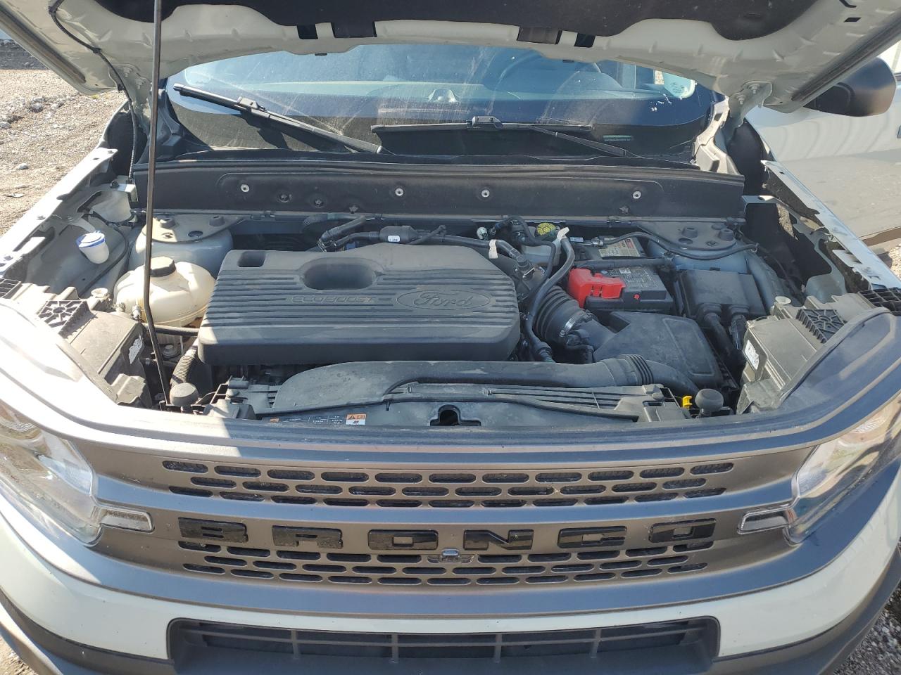 2021 Ford Bronco Sport First Edition VIN: 3FMCR9F96MRA50318 Lot: 81466835