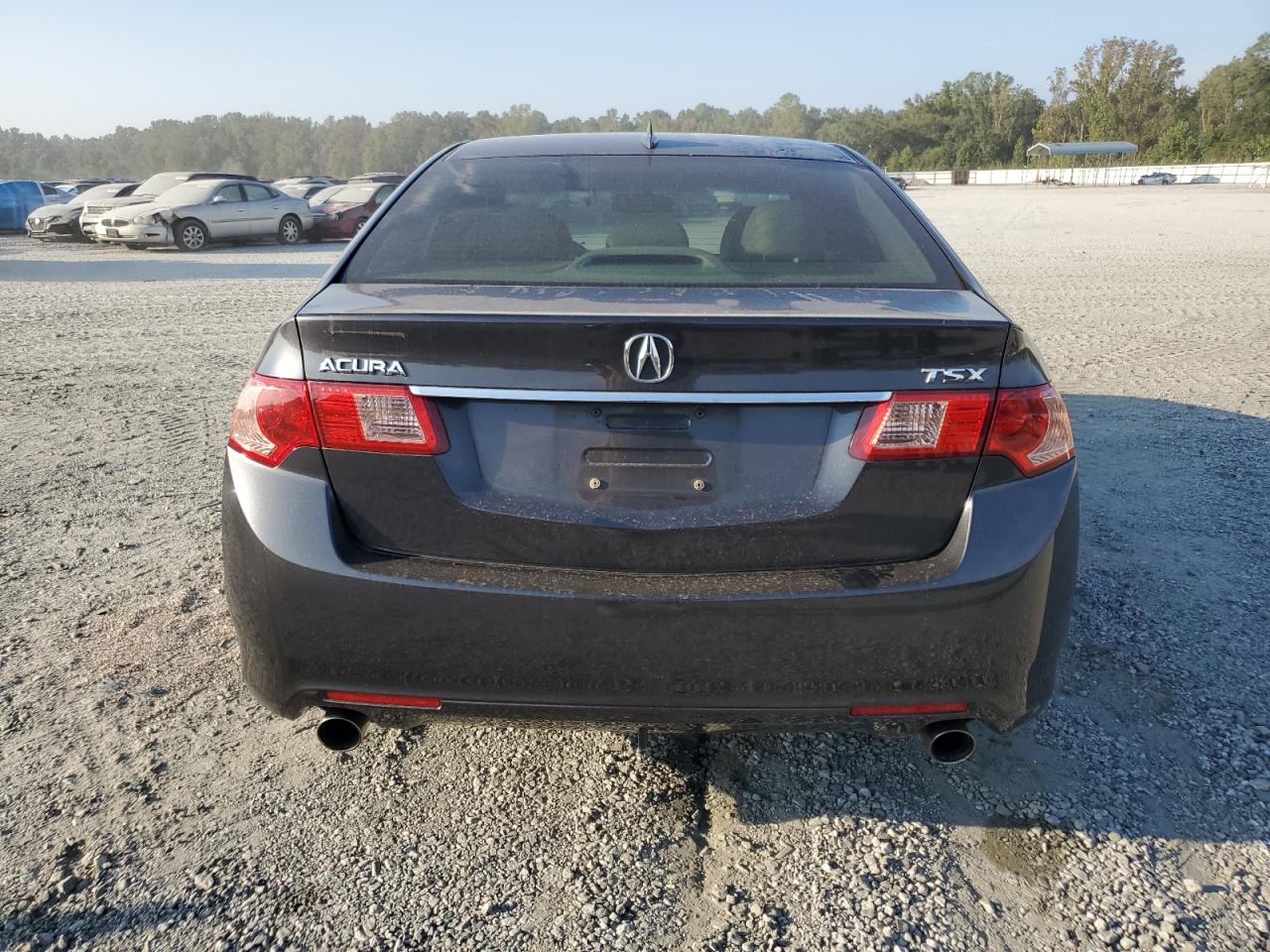 2012 Acura Tsx VIN: JH4CU2F47CC014499 Lot: 81131205