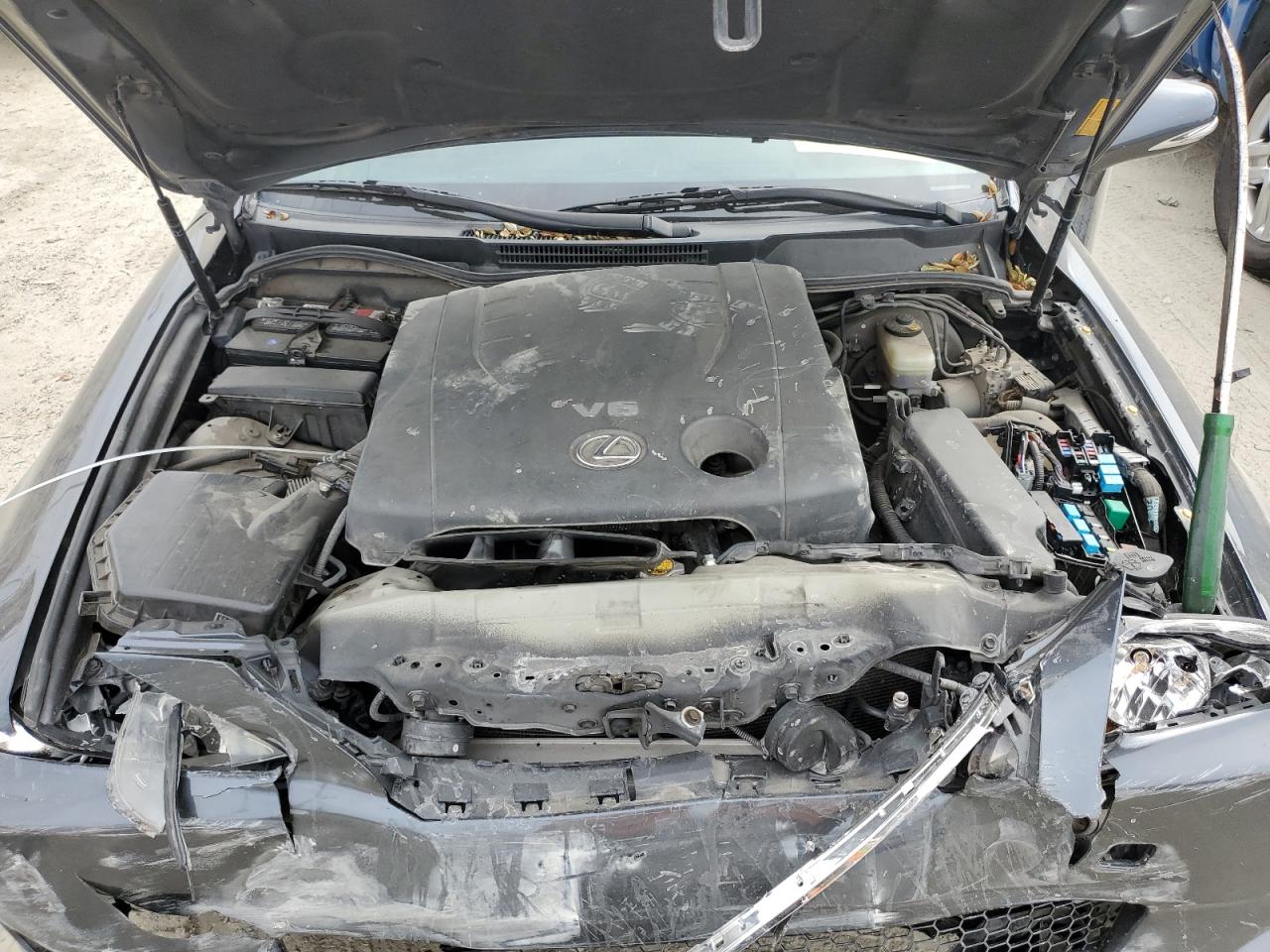 2009 Lexus Is 250 VIN: JTHBK262095101951 Lot: 81314485