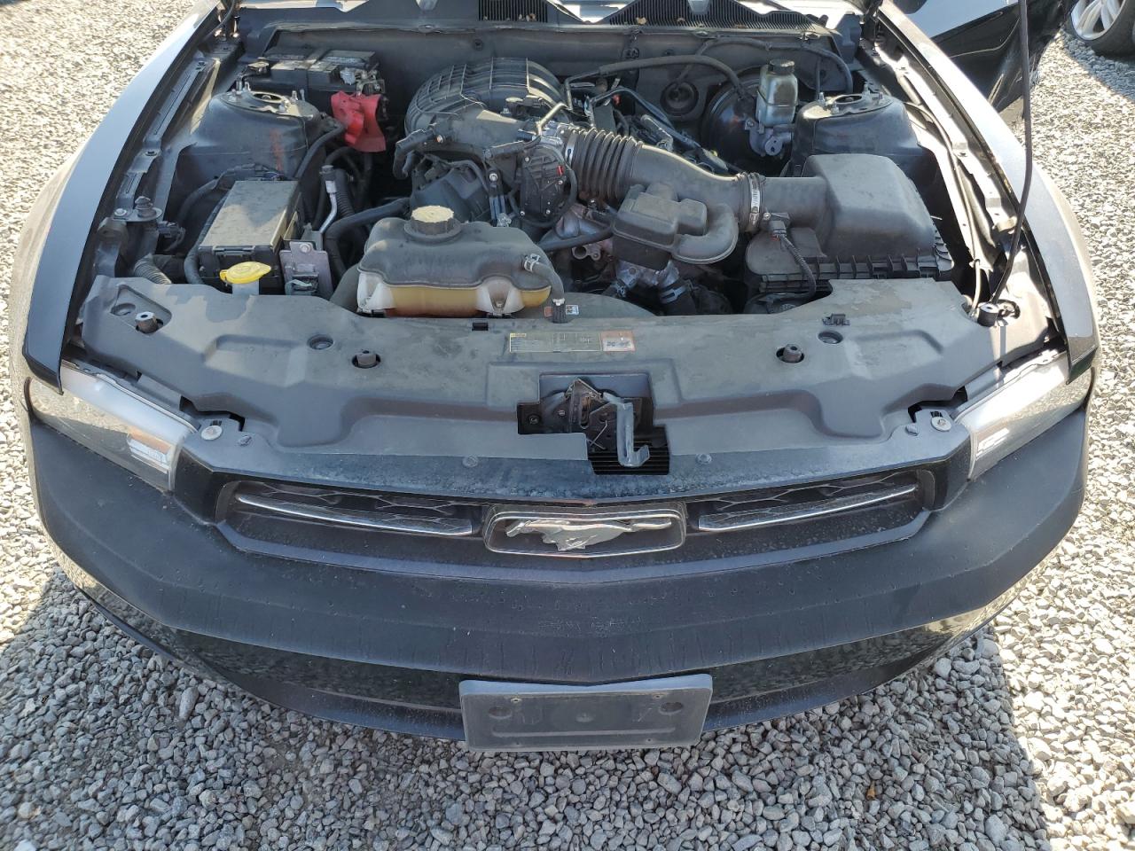 2012 Ford Mustang VIN: 1ZVBP8AM6C5234832 Lot: 80139975