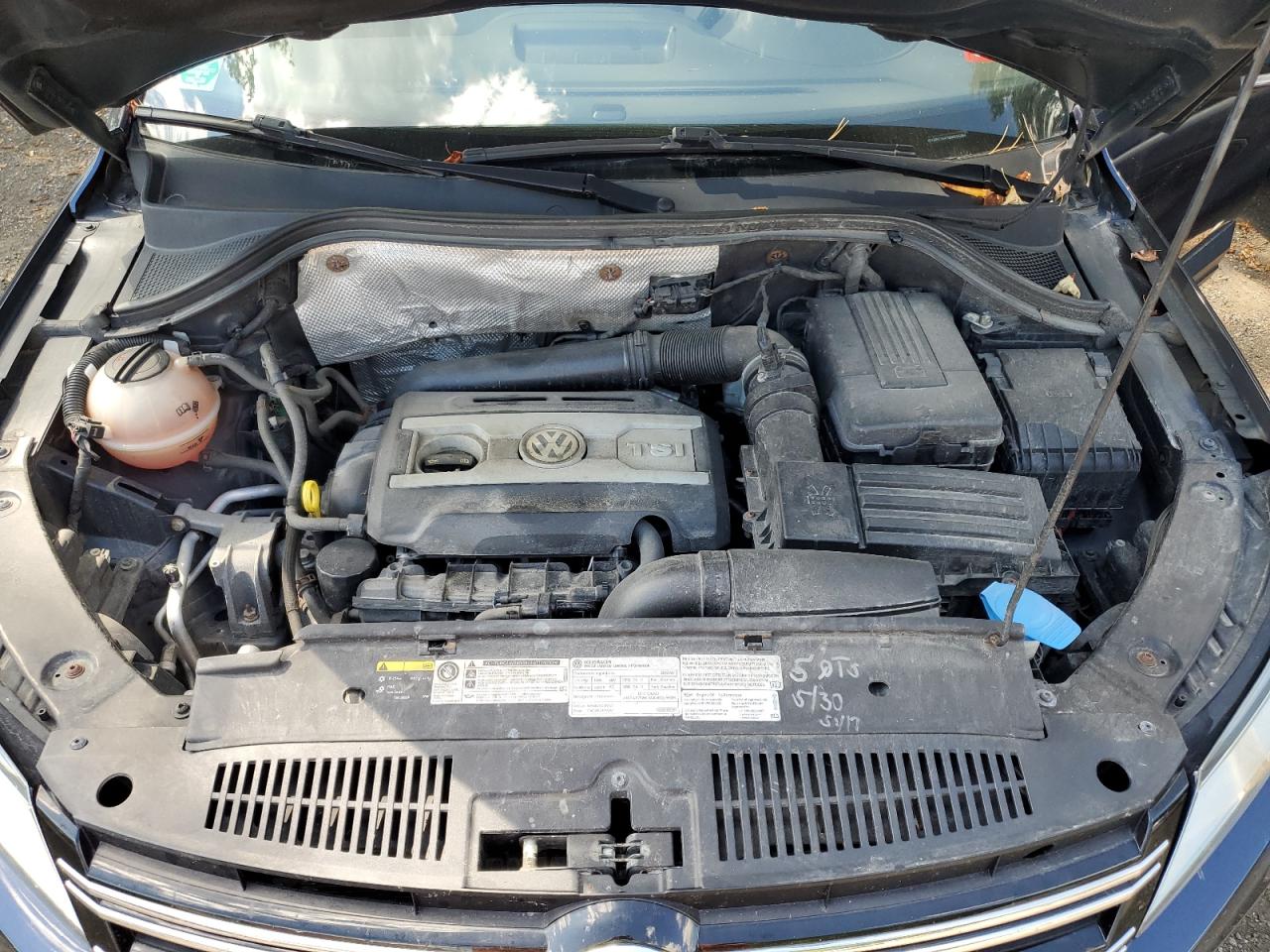 2016 Volkswagen Tiguan S VIN: WVGBV7AX7GW534386 Lot: 71603405