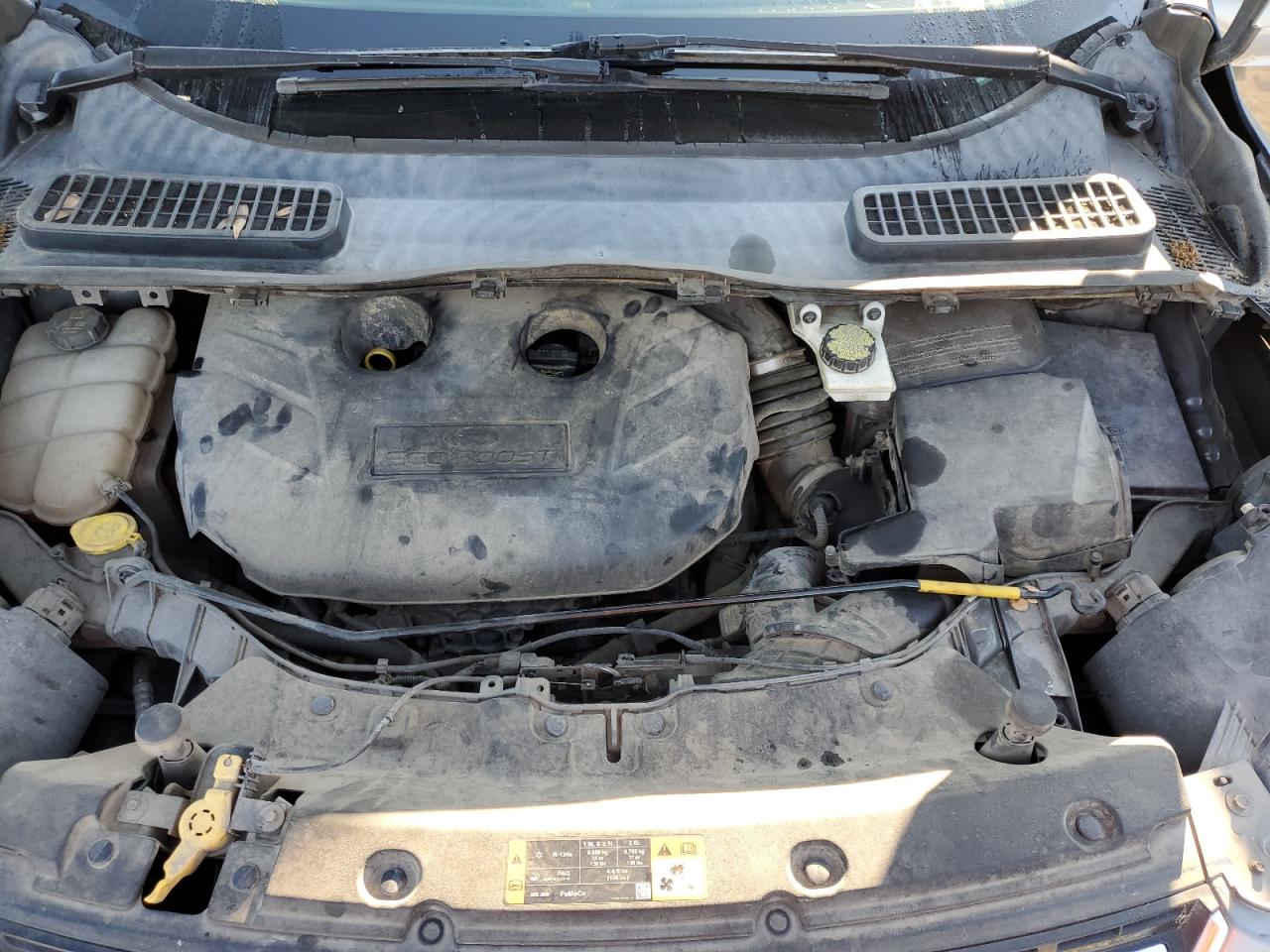 2014 Ford Escape Titanium VIN: 1FMCU0J97EUC64844 Lot: 81872835