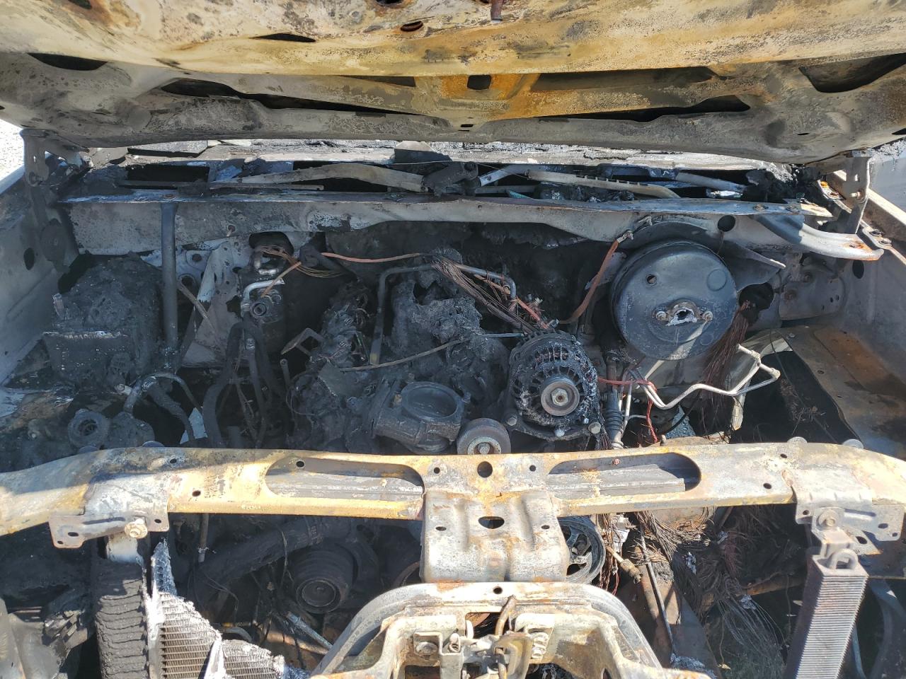 2011 Chevrolet Silverado K1500 Ls VIN: 3GCPKREA9BG161475 Lot: 81142945