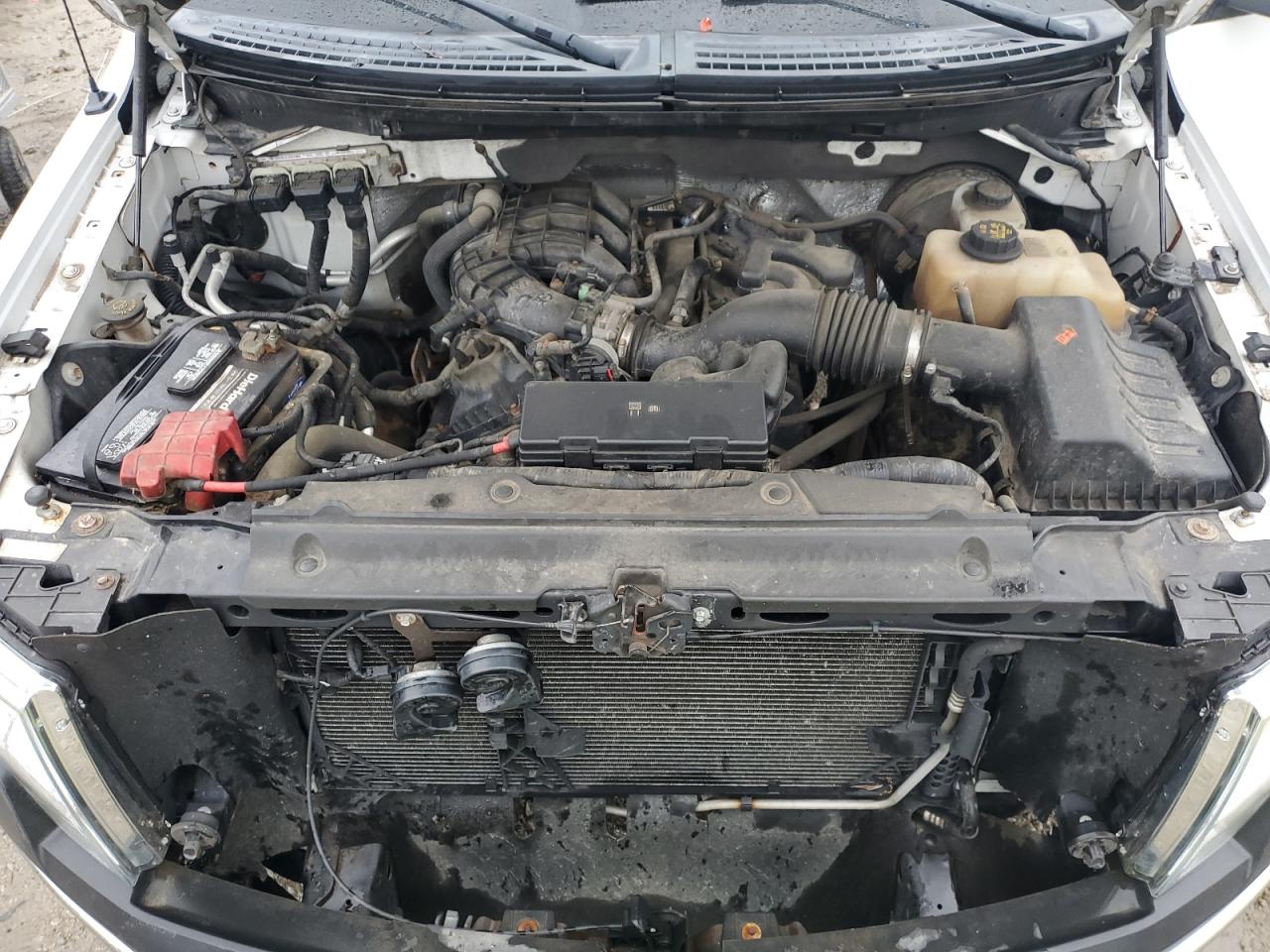 2011 Ford F150 Super Cab VIN: 1FTEX1CM2BFA02595 Lot: 84169185