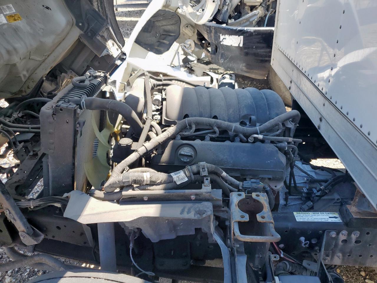 2021 Isuzu Npr Hd VIN: 54DC4W1D4MS206286 Lot: 71508015