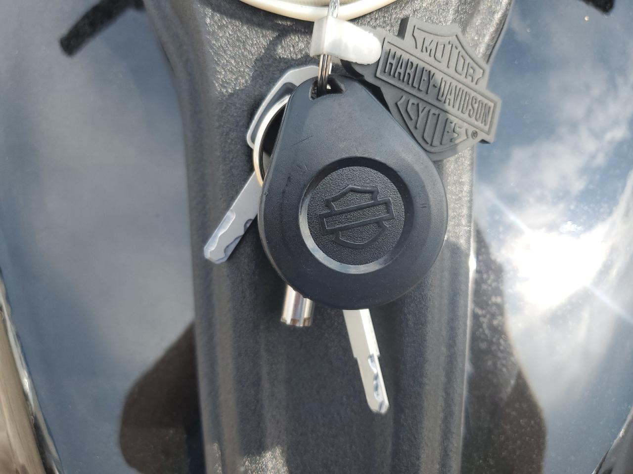 2020 Harley-Davidson Fxlrs VIN: 1HD1YWK13LB019963 Lot: 71275435