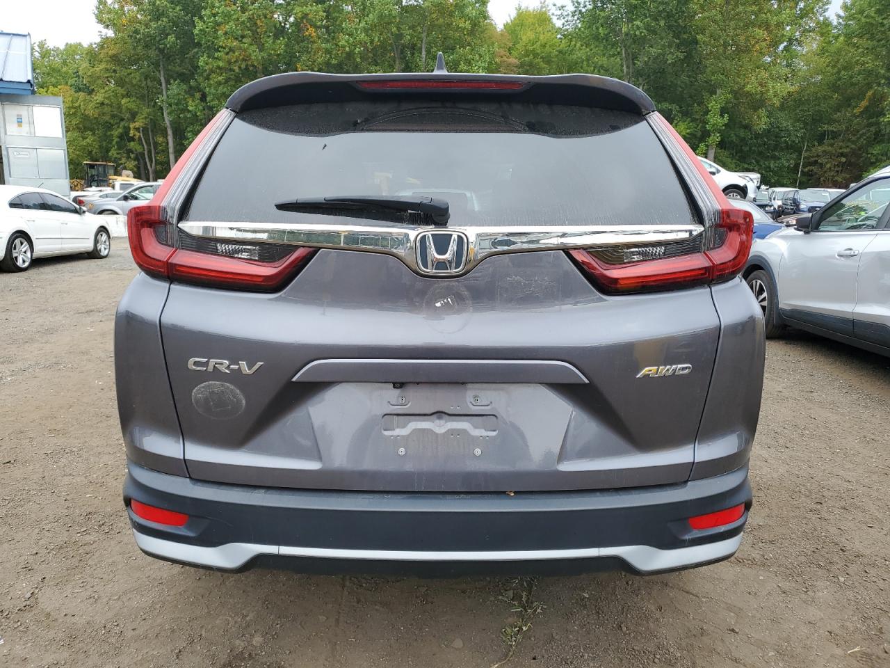 2020 Honda Cr-V Exl VIN: 2HKRW2H80LH683322 Lot: 81396035