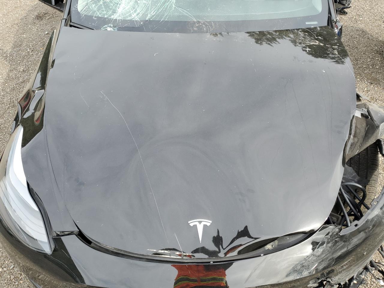 2023 Tesla Model Y VIN: 7SAYGAEE9PF969741 Lot: 81771685