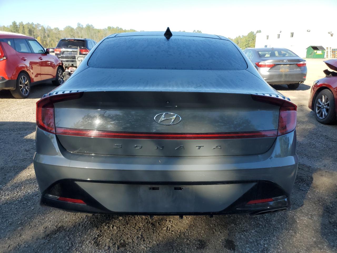 2020 Hyundai Sonata Sel VIN: 5NPEL4J20LH017022 Lot: 81661655