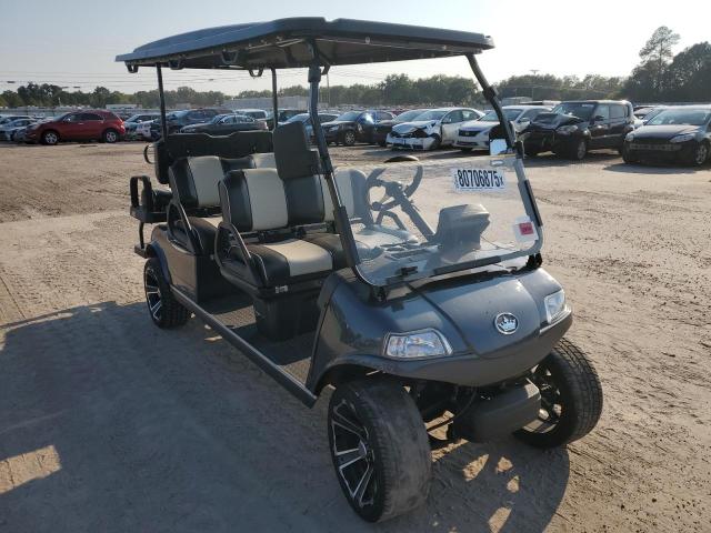 2024 GOLF CART CART   for sale at Copart AL - DOTHAN