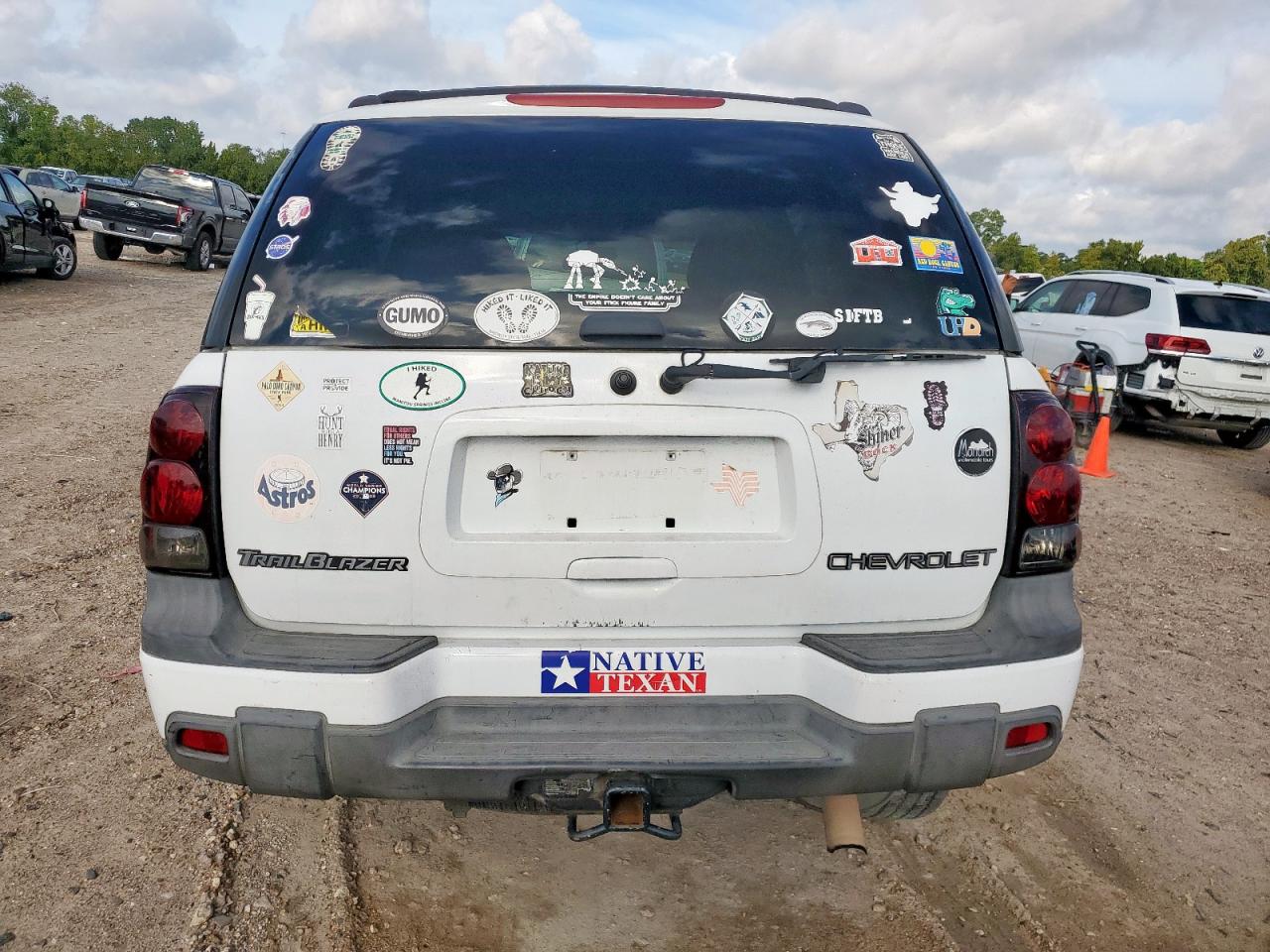 2002 Chevrolet Trailblazer VIN: 1GNDT13S422414036 Lot: 71214575