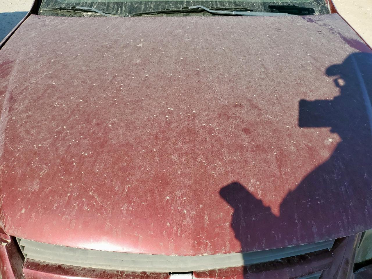 2007 Chevrolet Cobalt Ls VIN: 1G1A155F077310732 Lot: 81869875