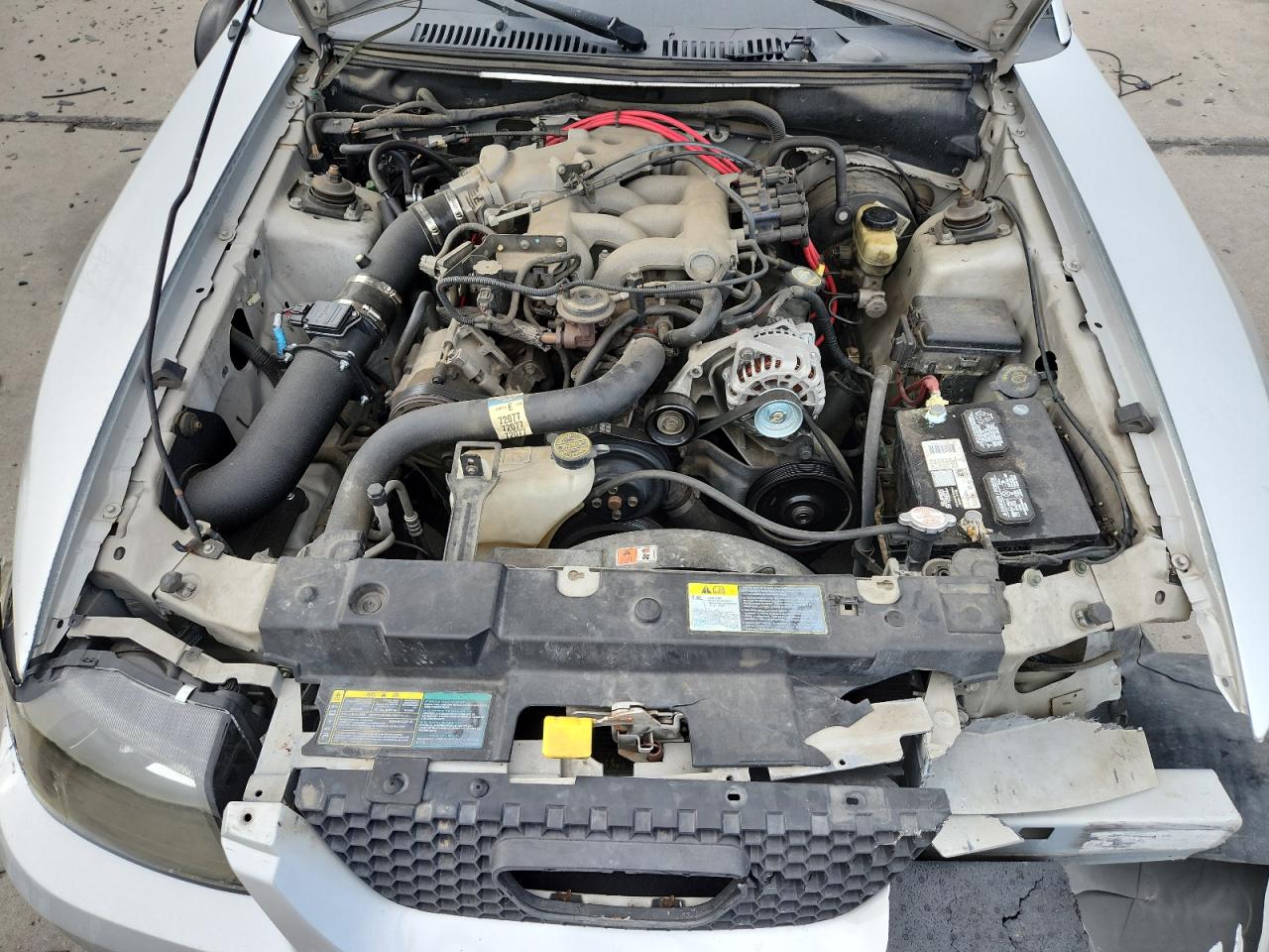 2003 Ford Mustang VIN: 1FAFP40433F439233 Lot: 81489475