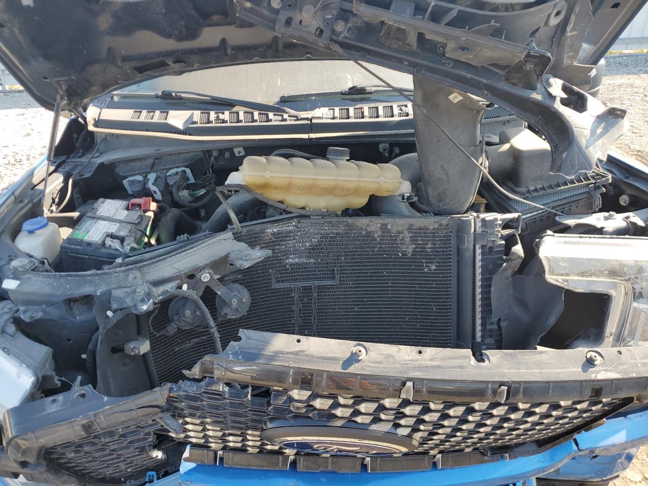 2019 Ford F150 Supercrew VIN: 1FTEW1EP4KFD11009 Lot: 81308415