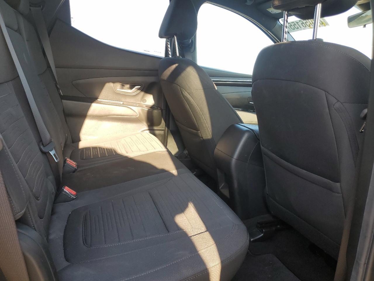 2023 Hyundai Santa Cruz Sel VIN: 5NTJCDAE7PH076424 Lot: 81056155
